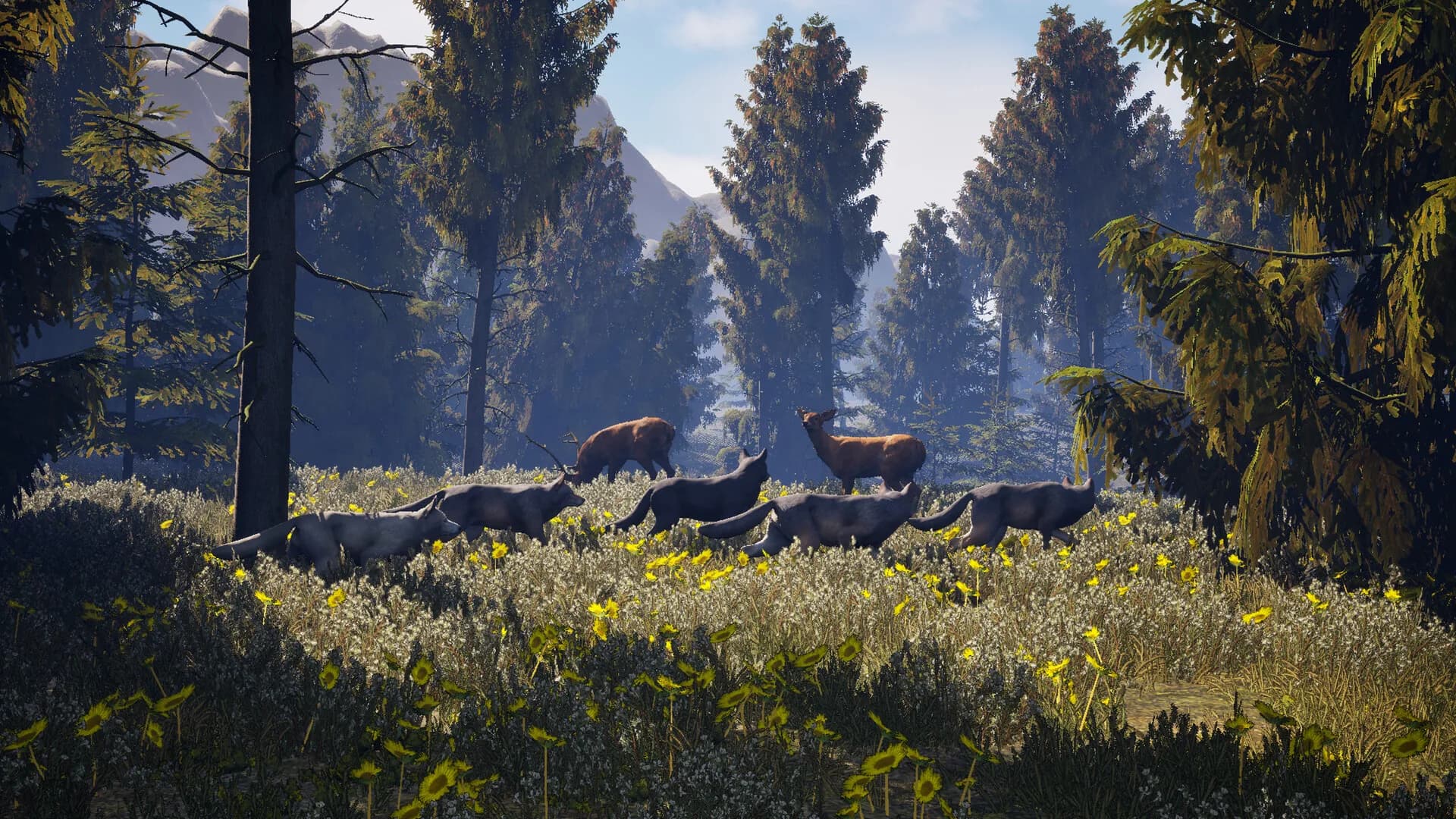 Susia - Wolf Life Simulator görsel 2