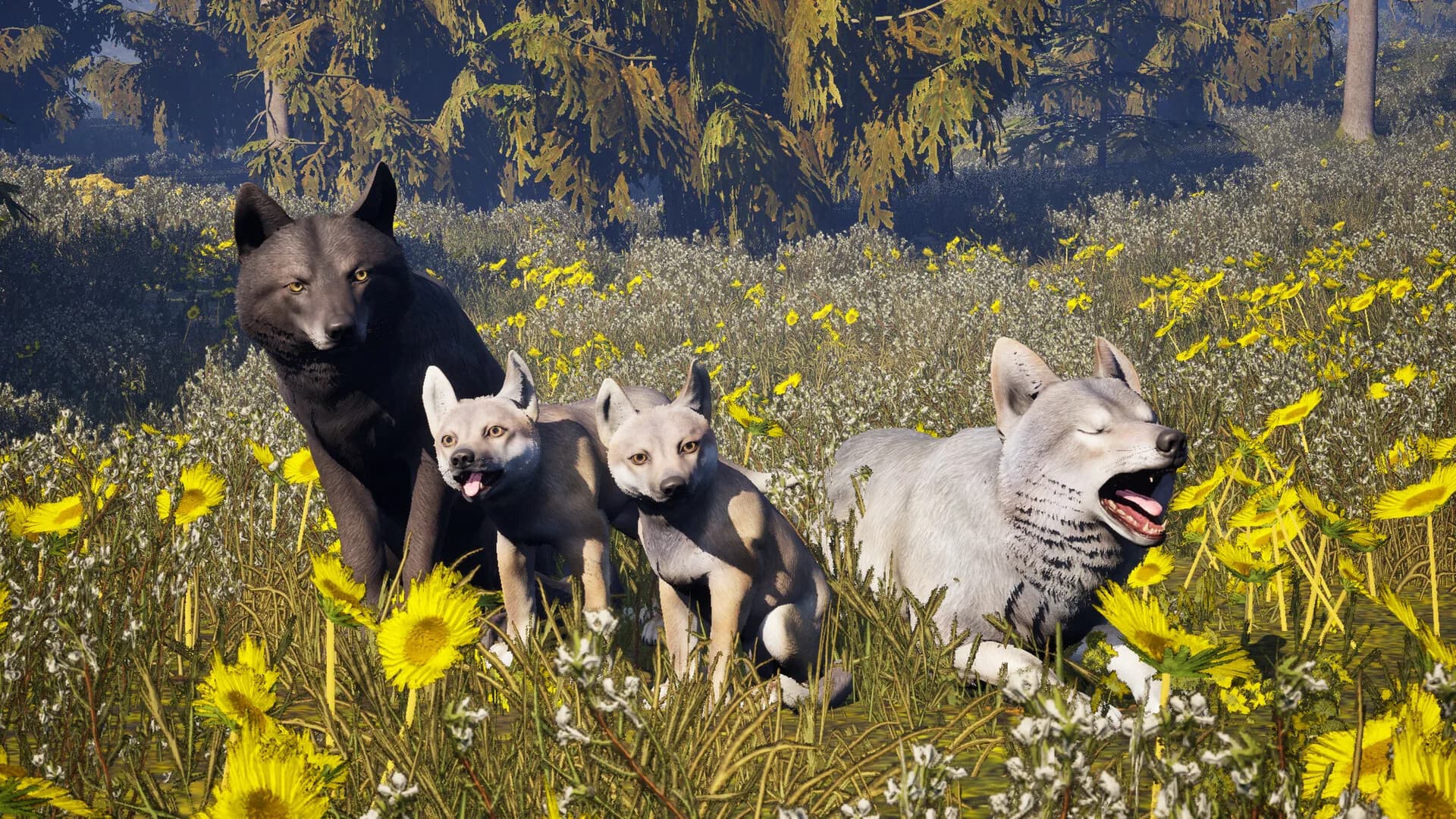 Susia - Wolf Life Simulator görsel 3