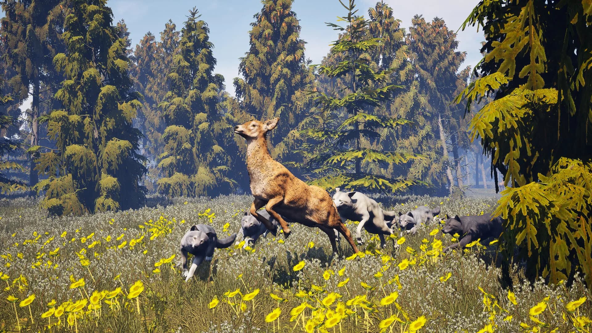 Susia - Wolf Life Simulator görsel 4