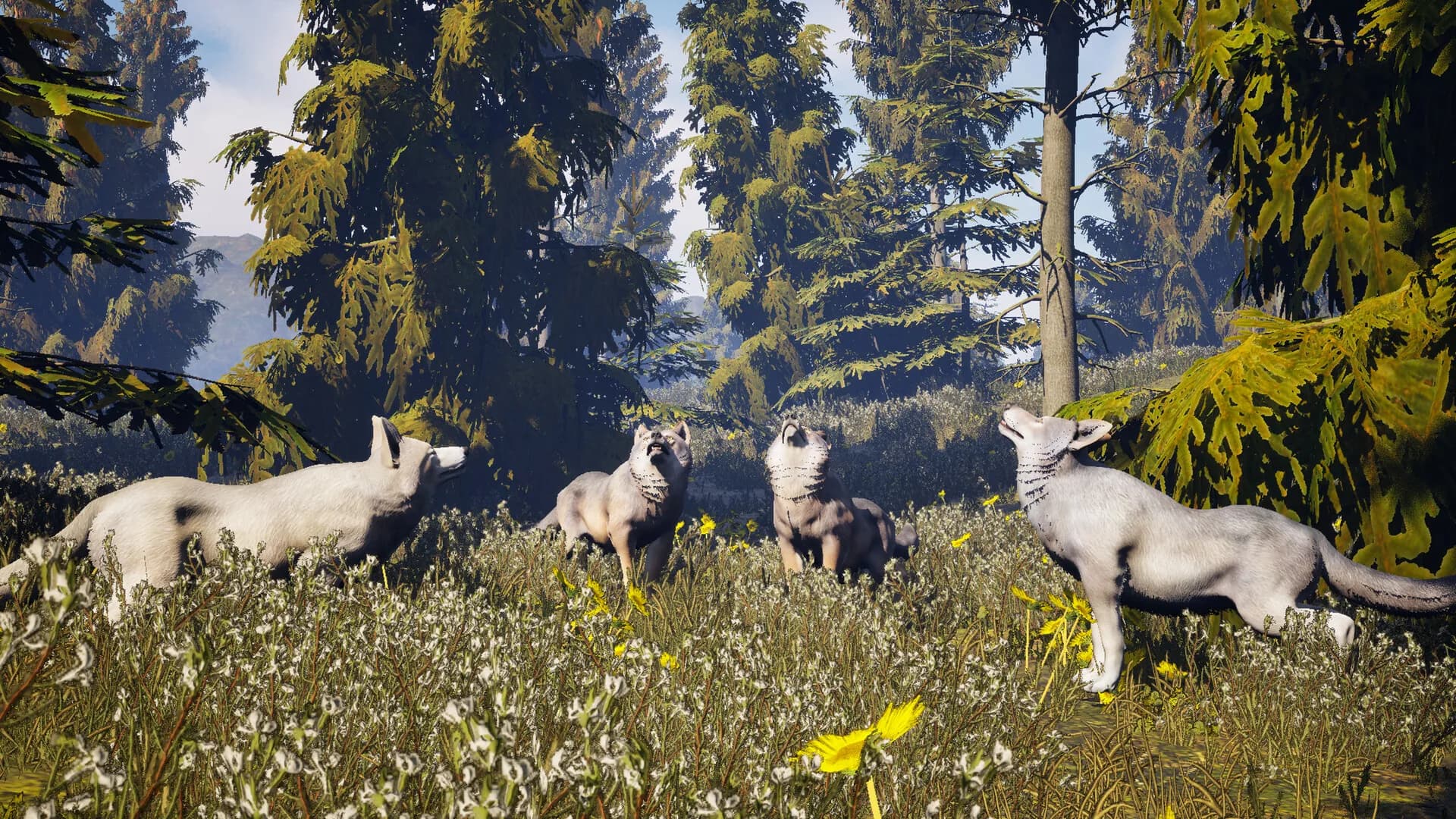Susia - Wolf Life Simulator görsel 5