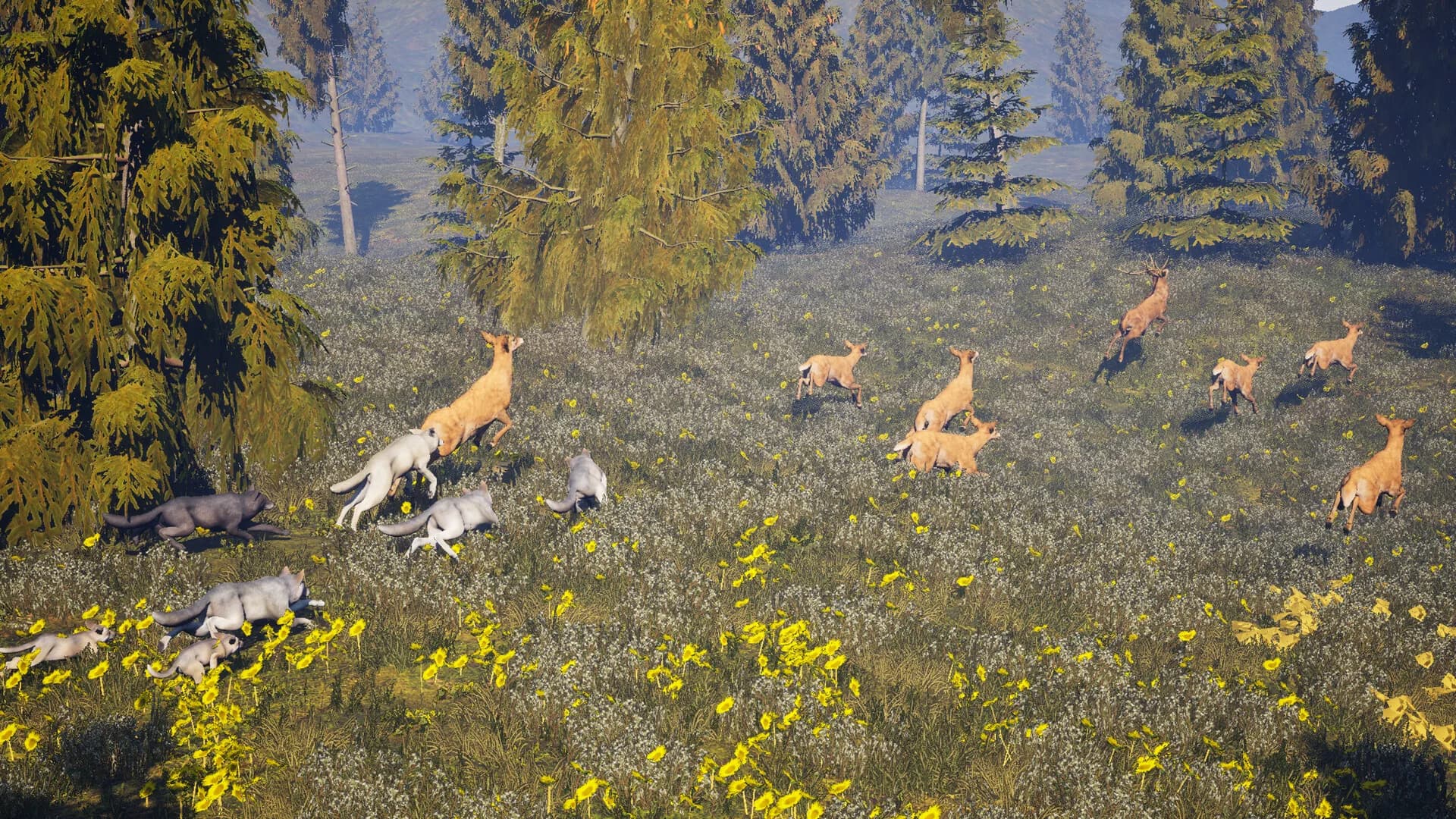 Susia - Wolf Life Simulator görsel 6