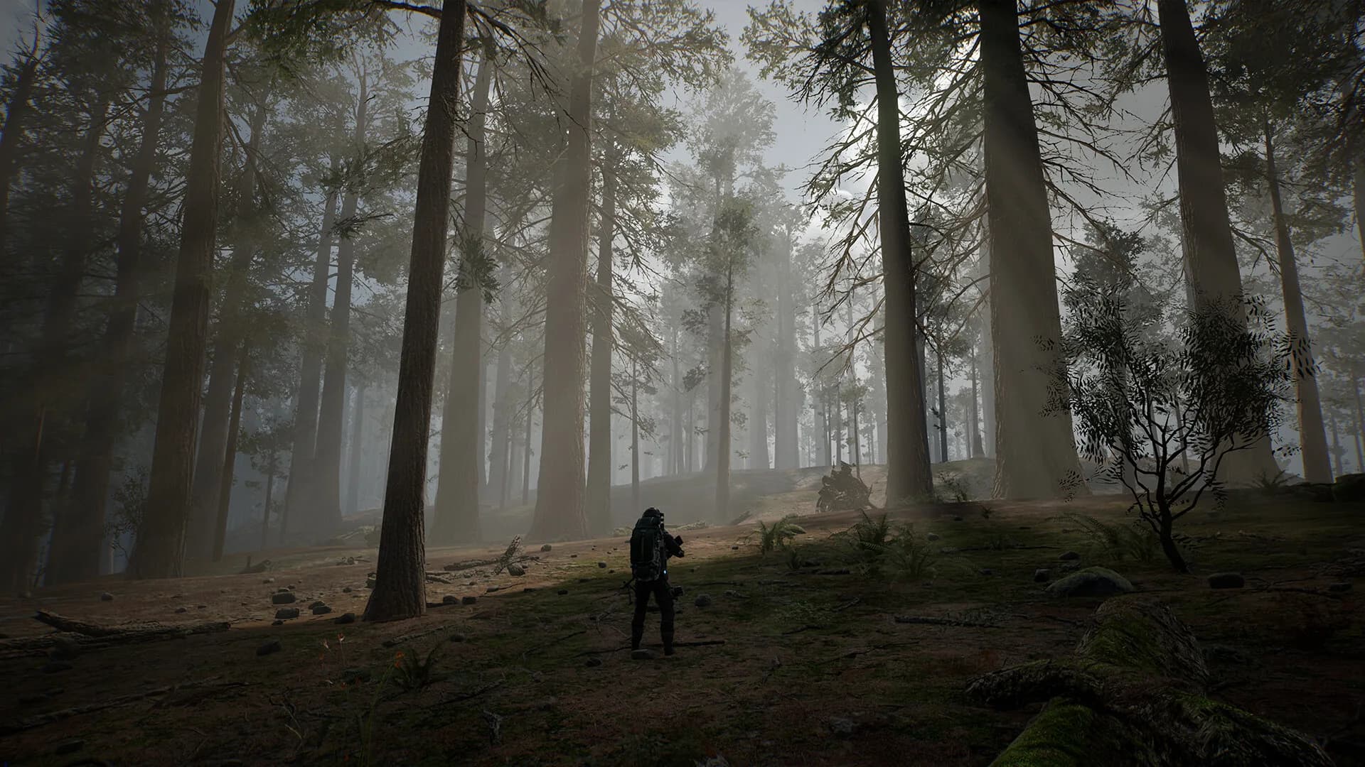 LIFE EFFECT Survival görsel 7