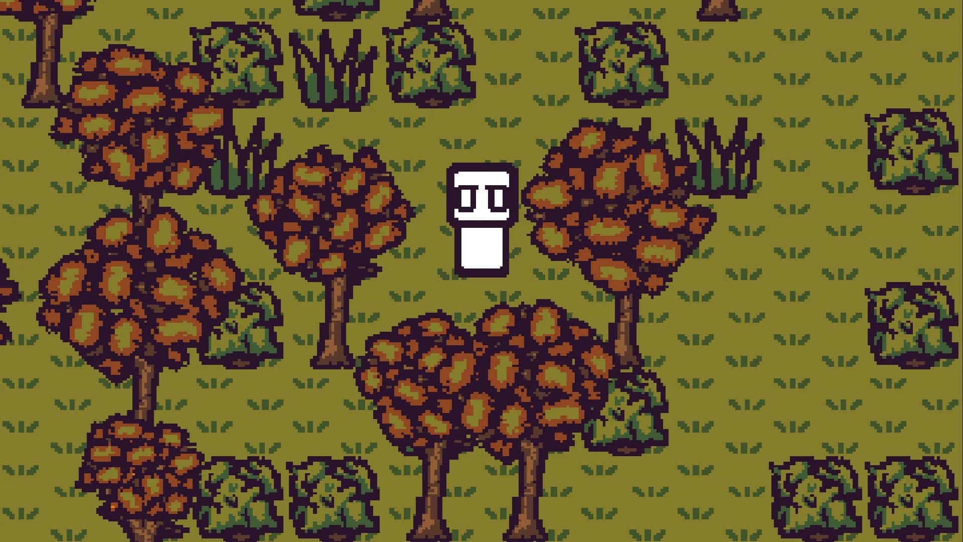 Island Fever görsel 2