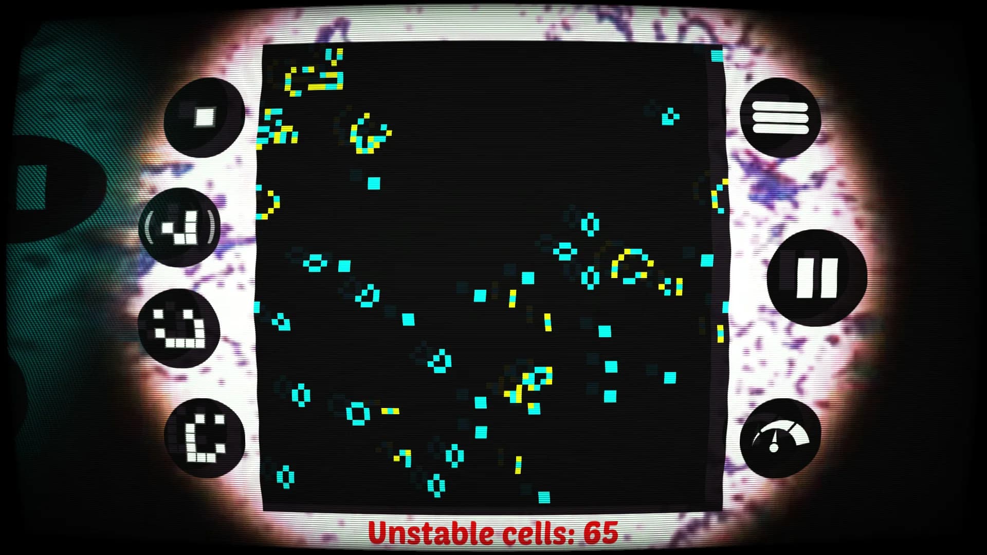 Bacteria görsel 7