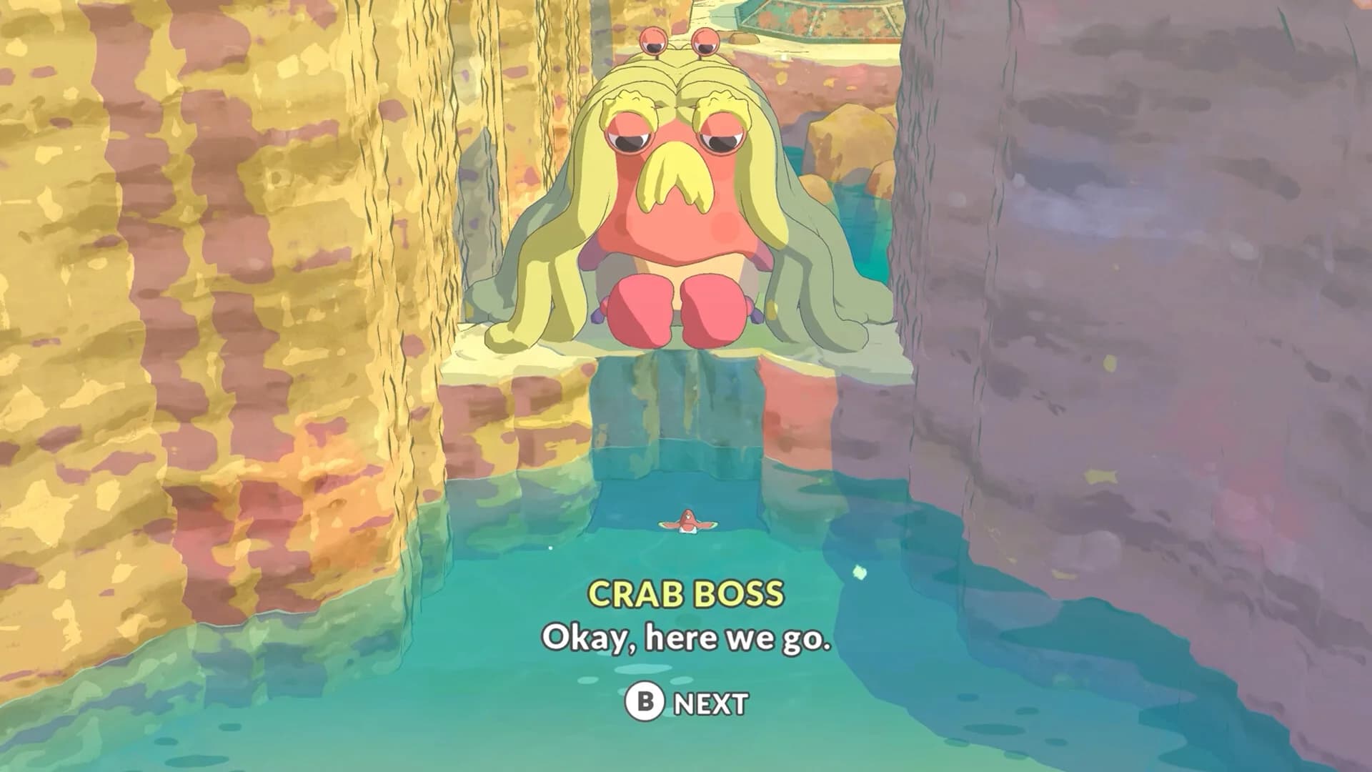 Hoa 2 görsel 5