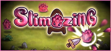 Slimazing görsel 1