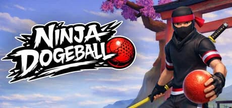 Ninja Dodgeball