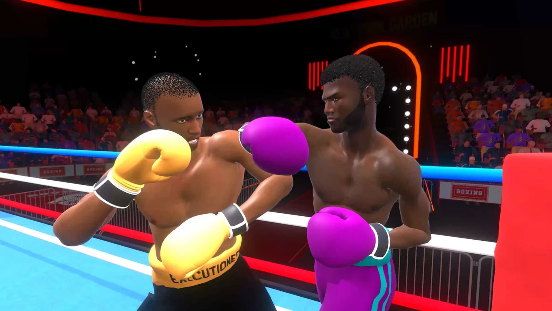 Pro Sports Boxing görsel 2