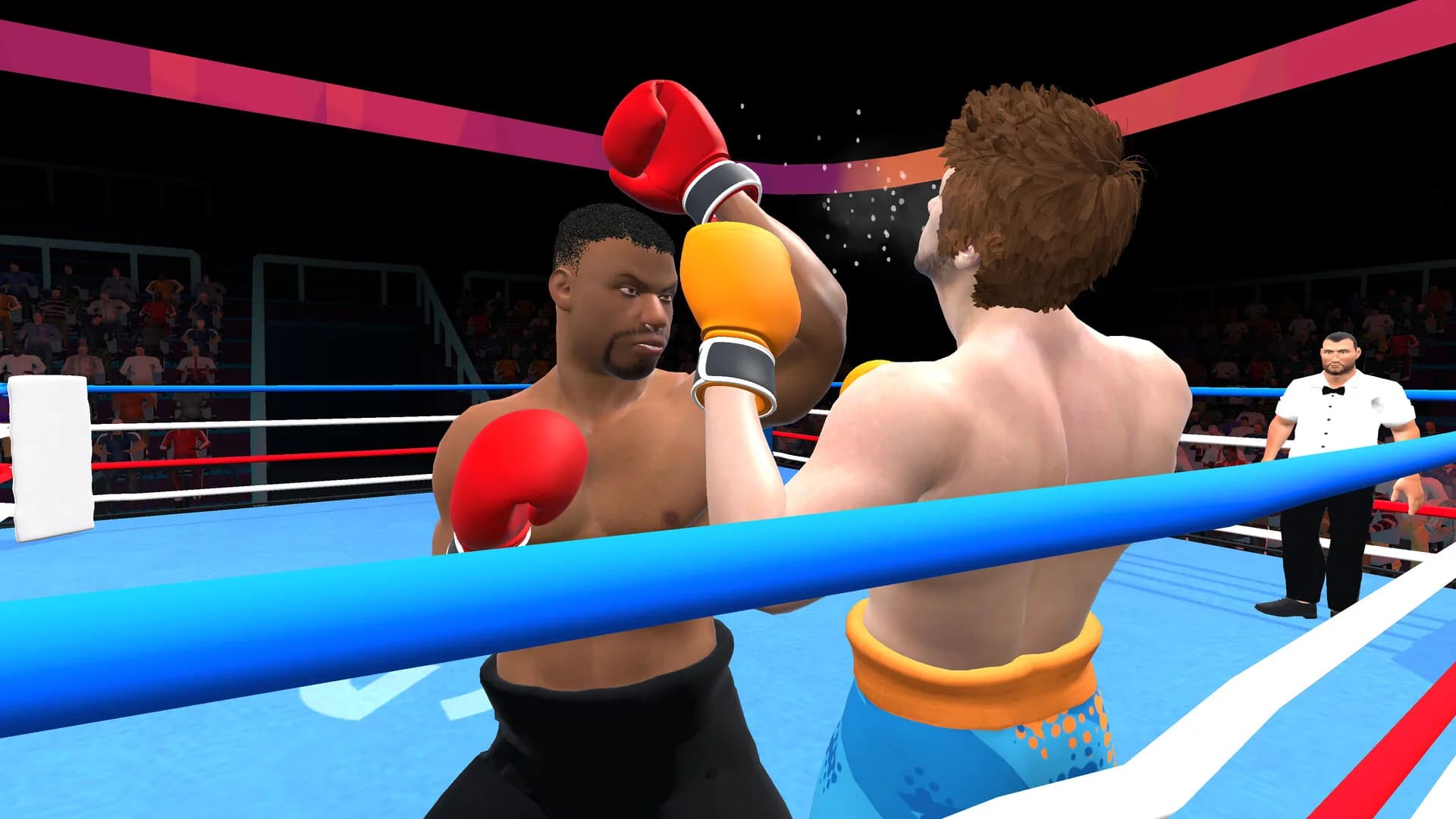 Pro Sports Boxing görsel 3