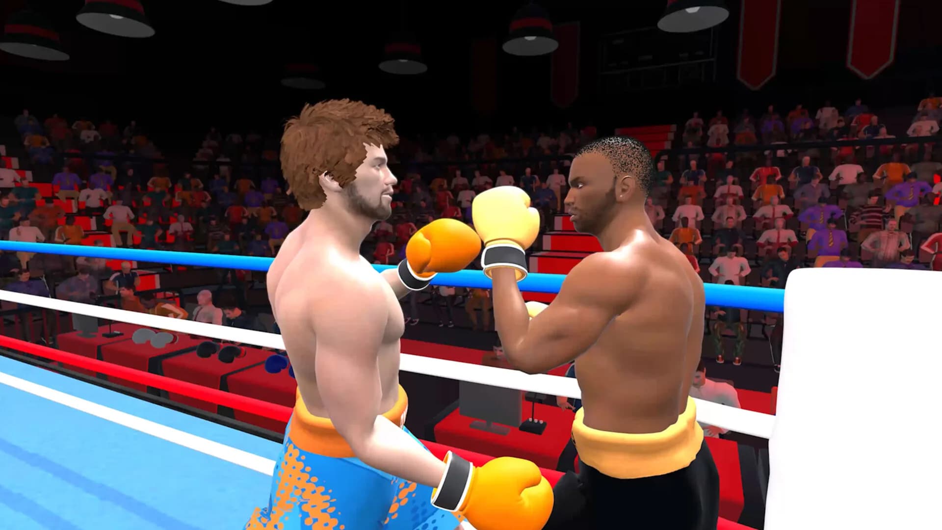 Pro Sports Boxing görsel 12