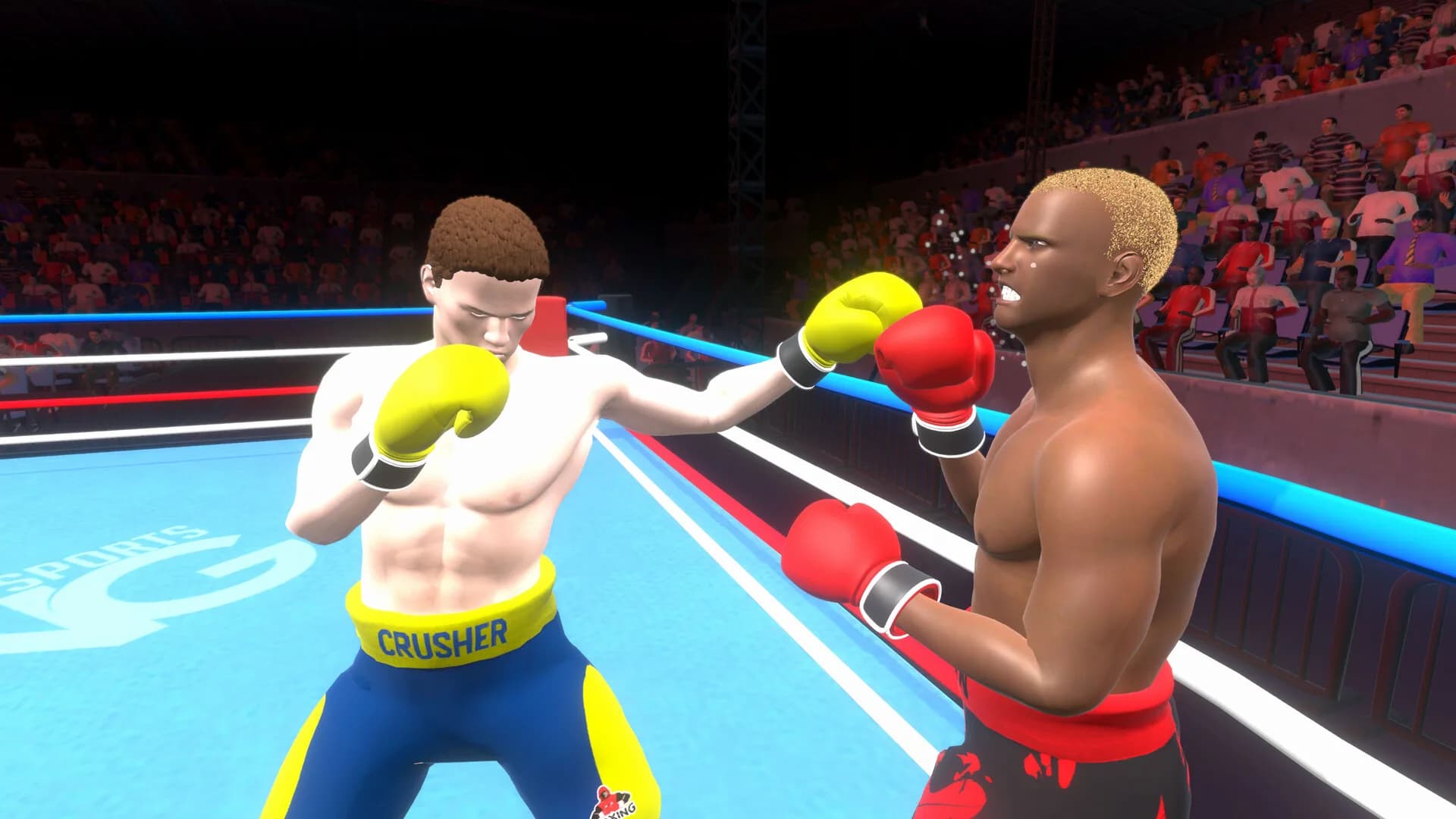 Pro Sports Boxing görsel 13