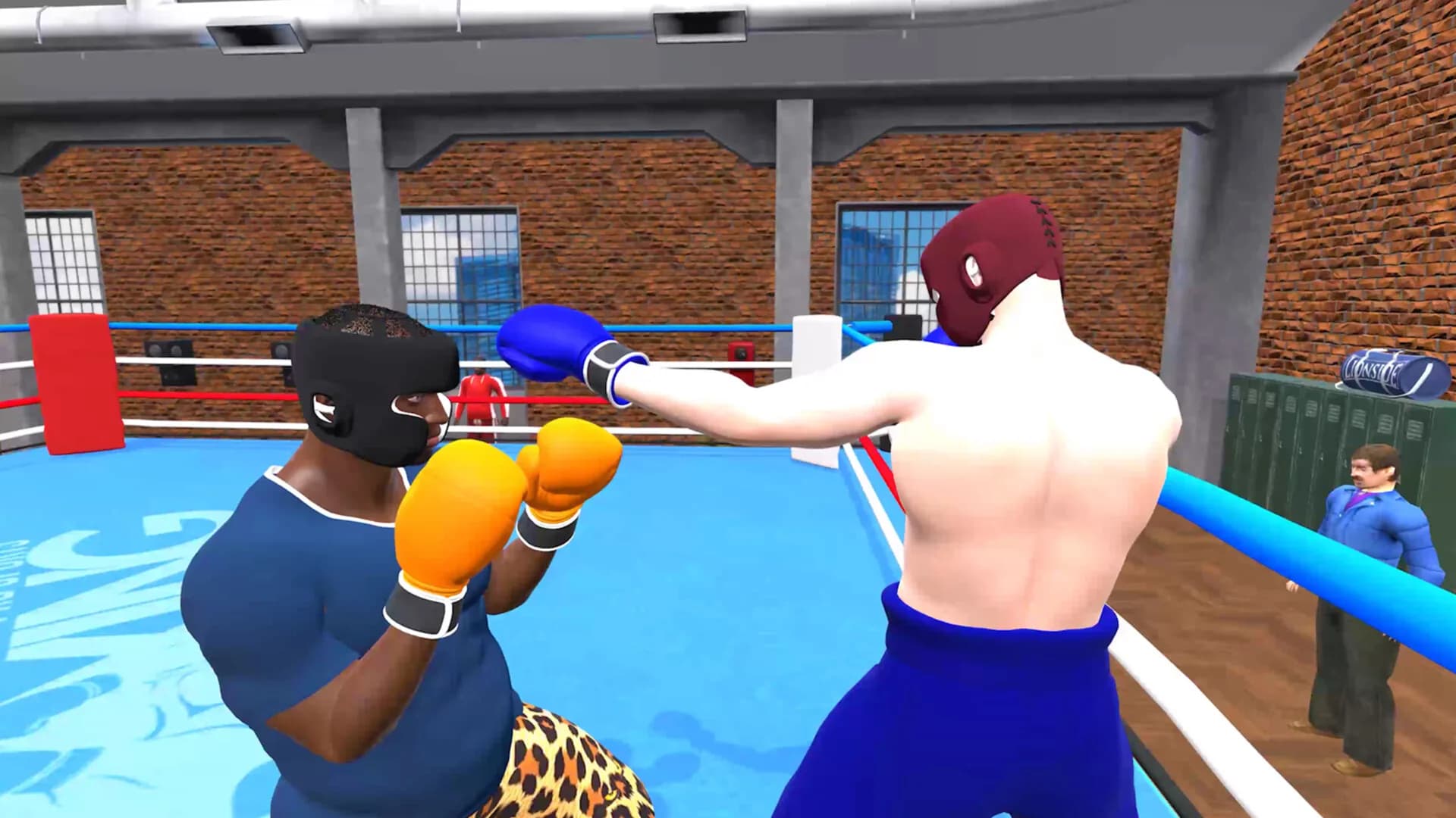 Pro Sports Boxing görsel 4