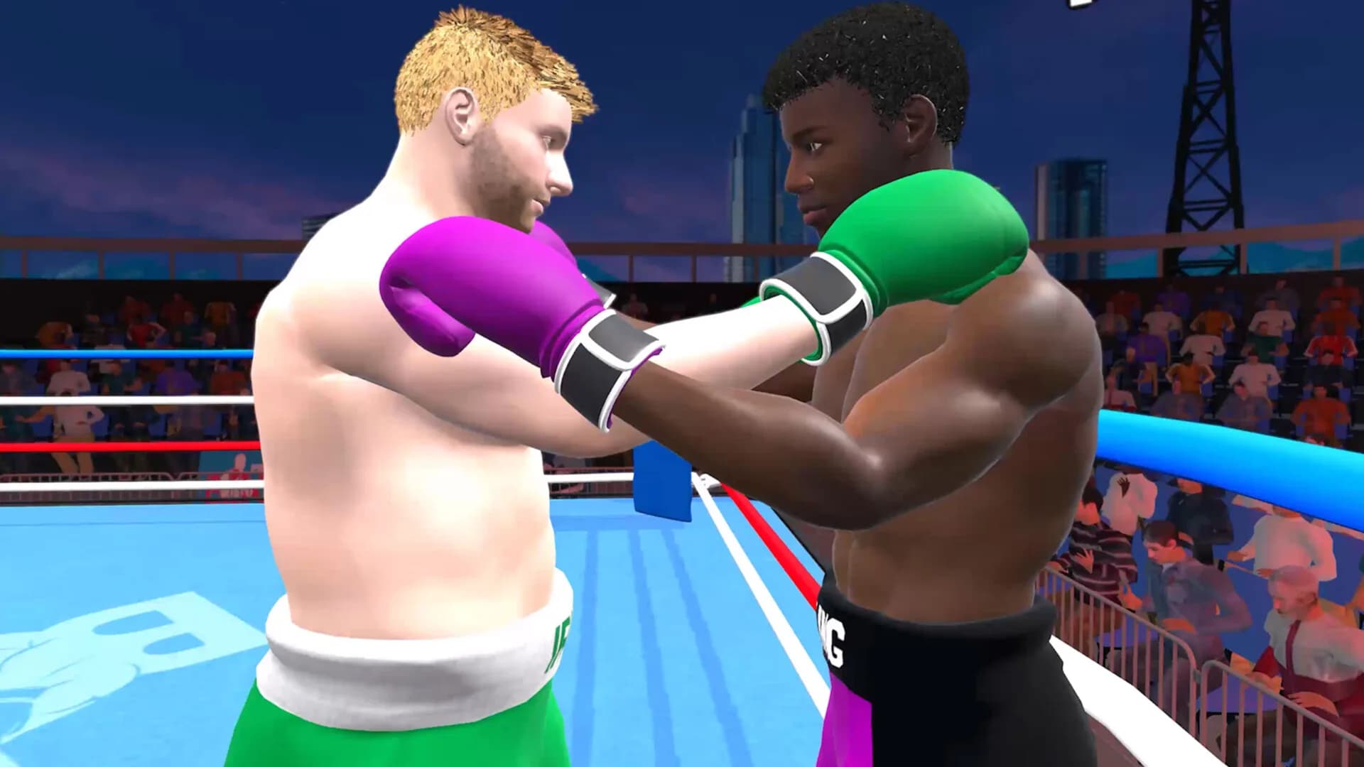 Pro Sports Boxing görsel 5