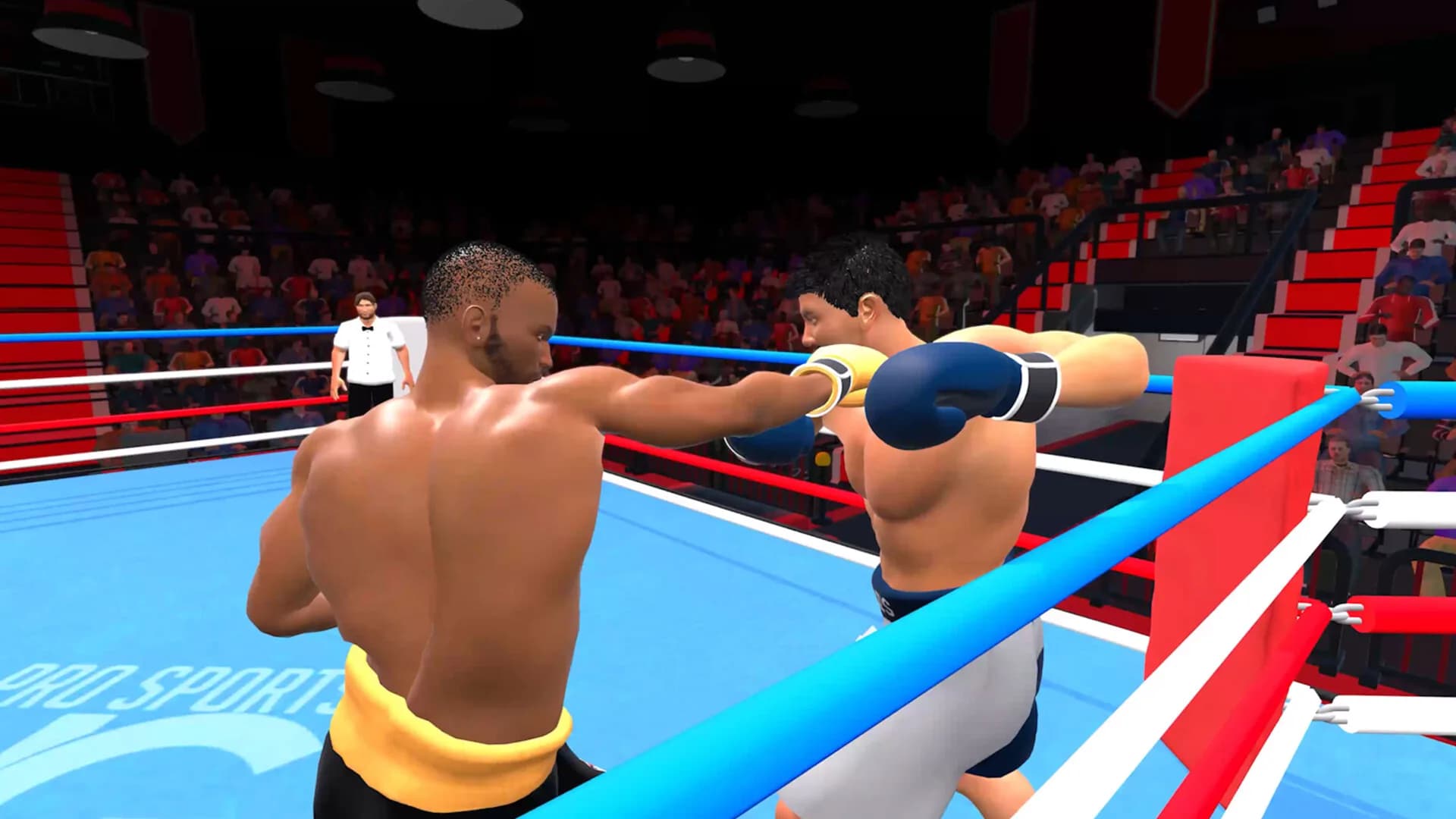 Pro Sports Boxing görsel 6