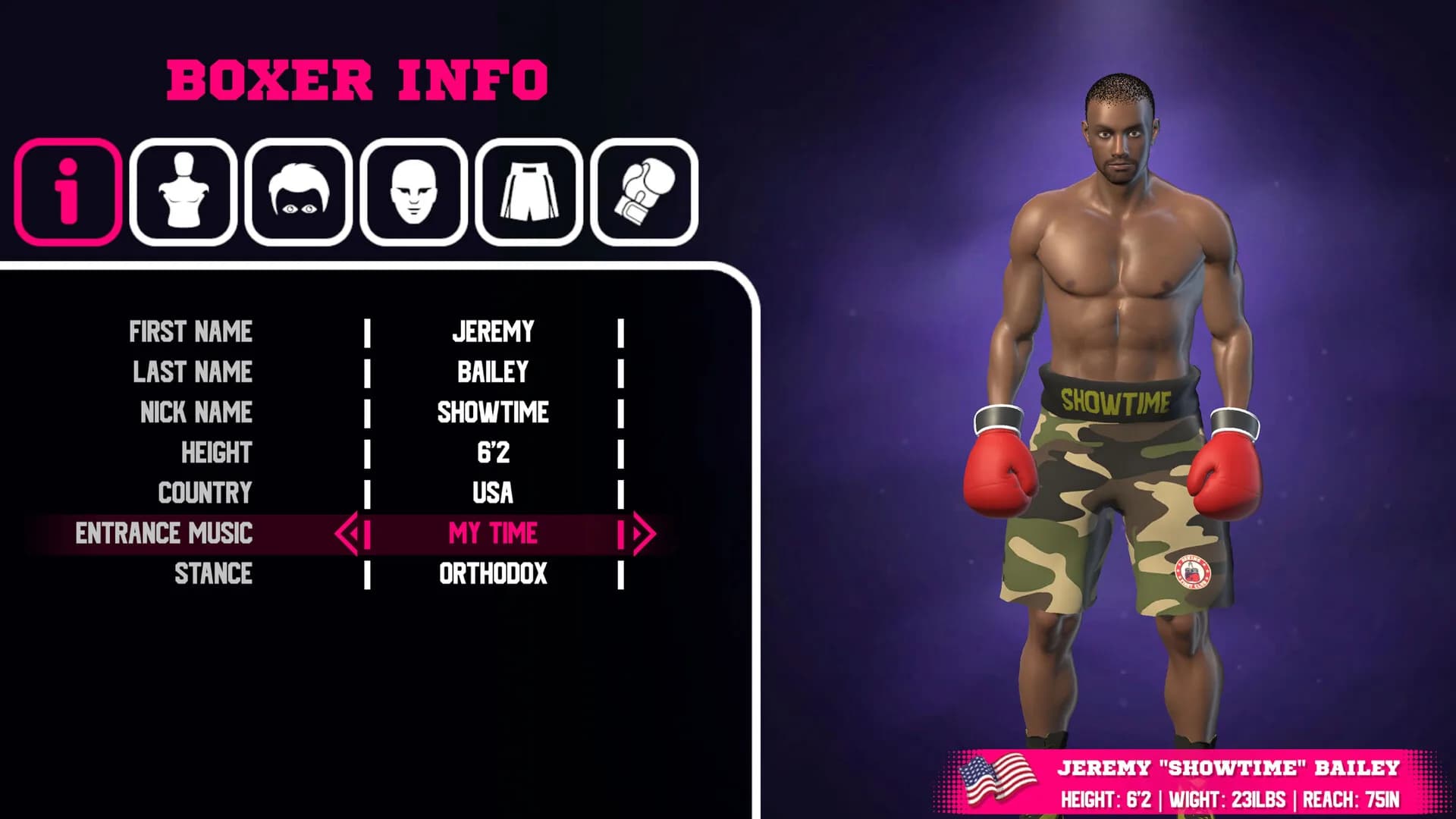 Pro Sports Boxing görsel 7