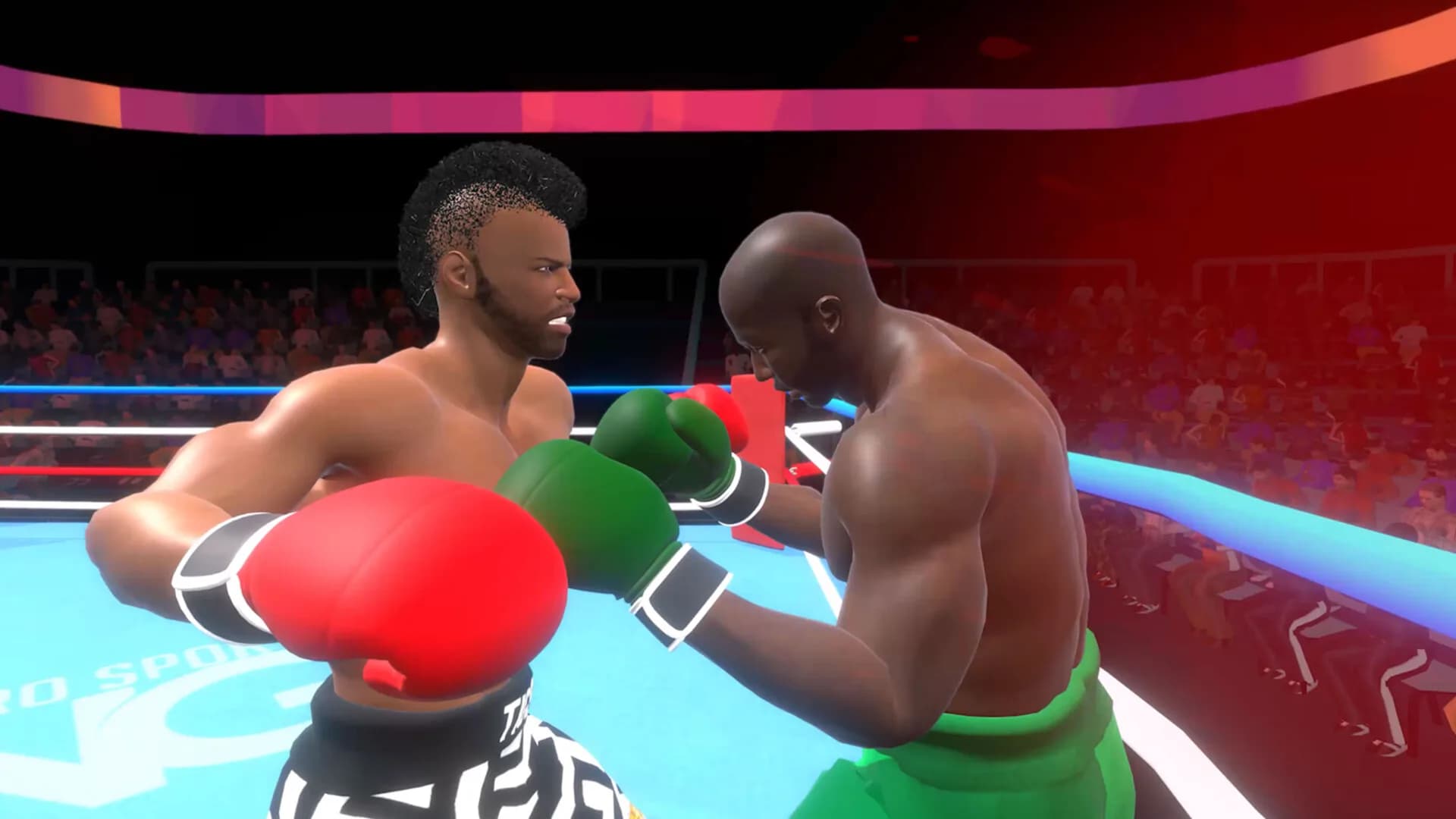 Pro Sports Boxing görsel 8