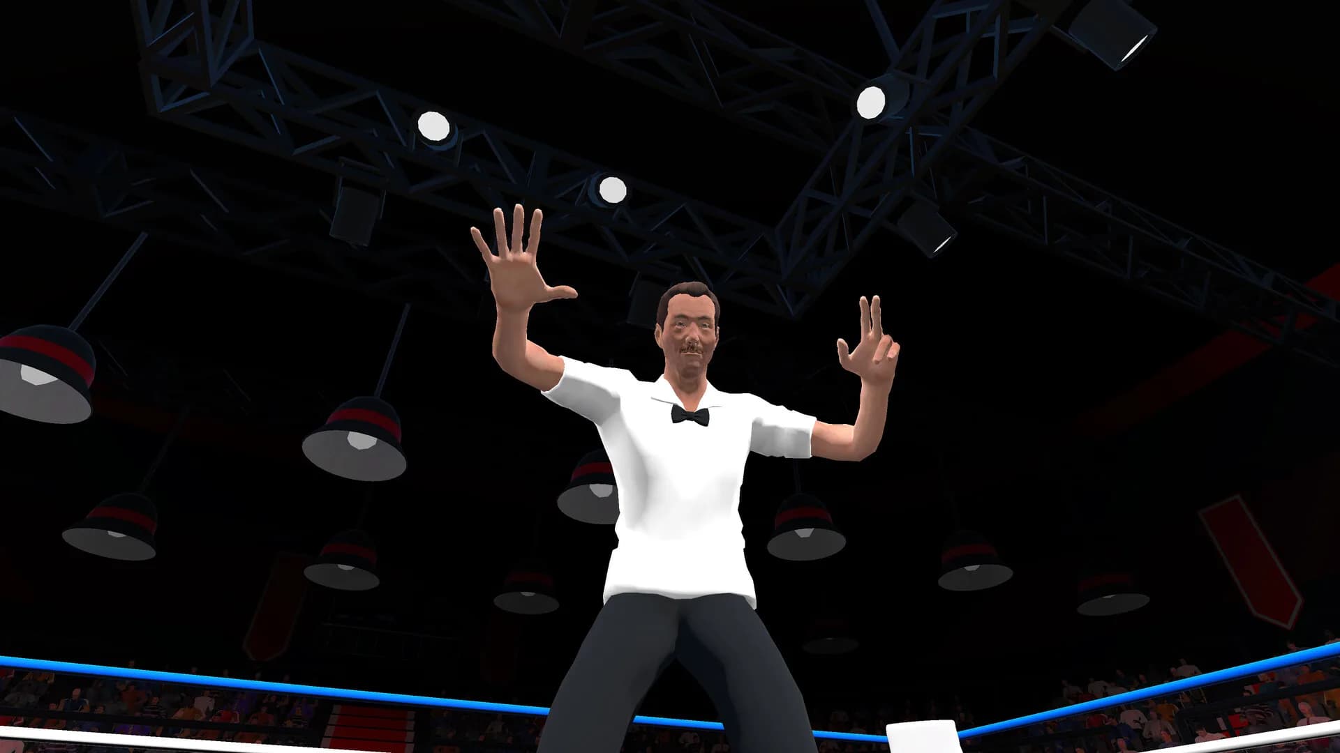 Pro Sports Boxing görsel 9