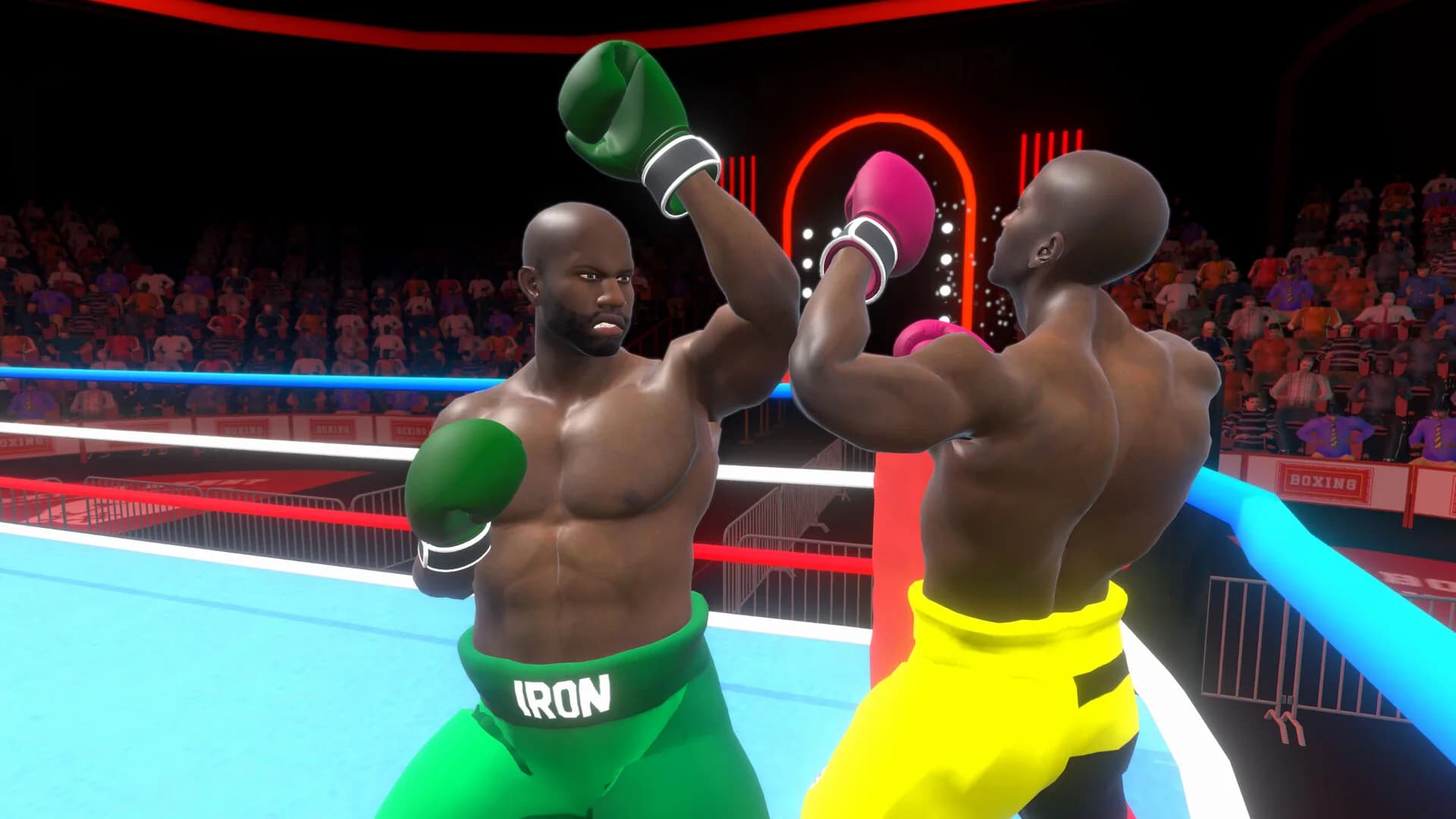 Pro Sports Boxing görsel 10