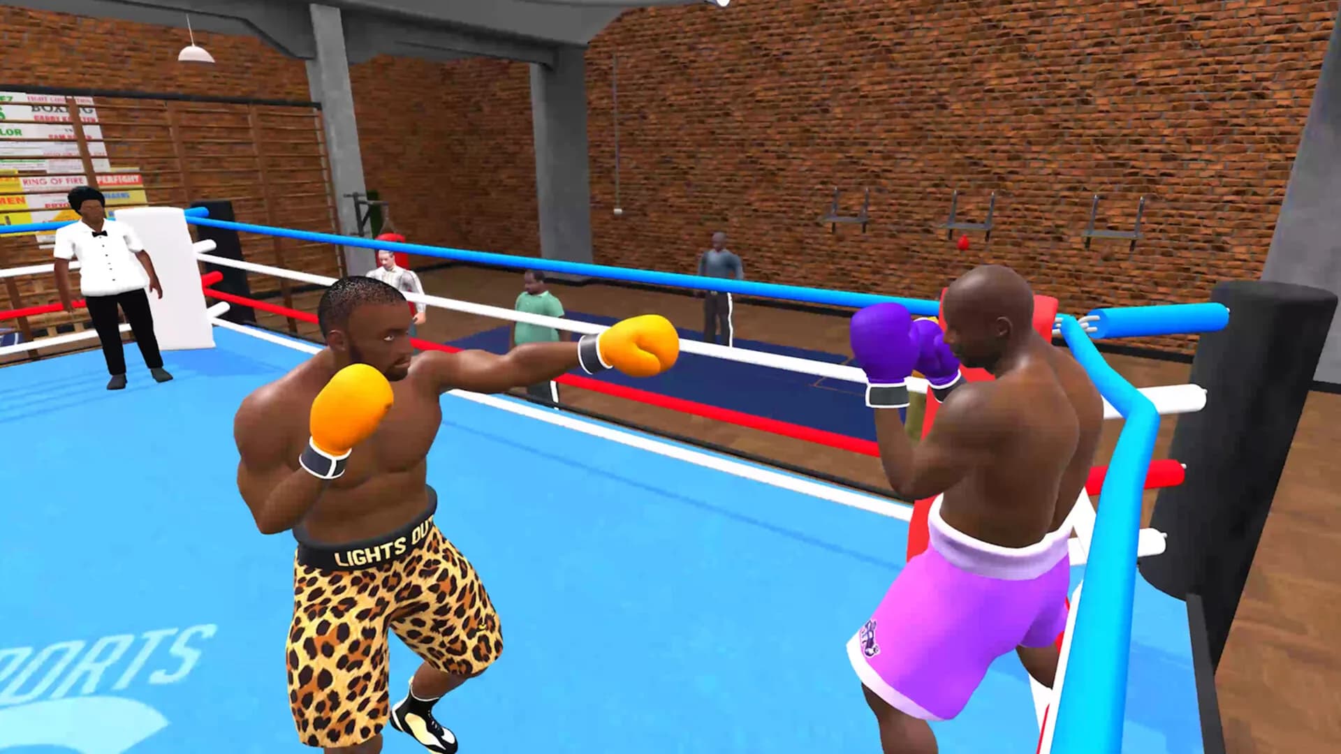 Pro Sports Boxing görsel 11