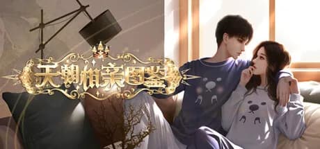 天朝相亲图鉴 görsel 1
