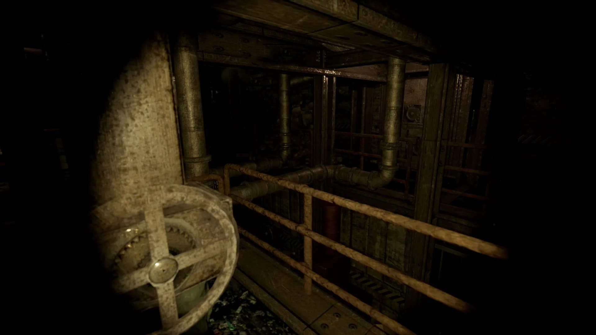 Amigdala görsel 4