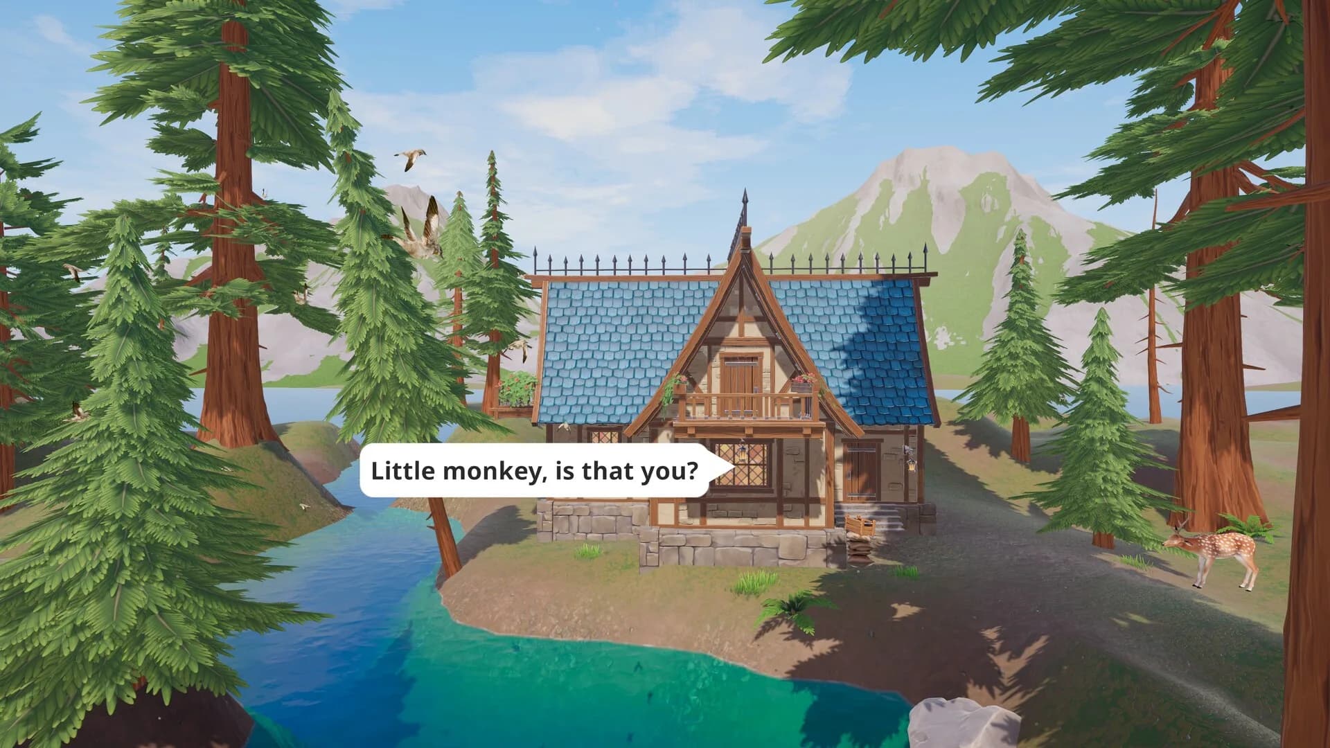 Pogopa görsel 6