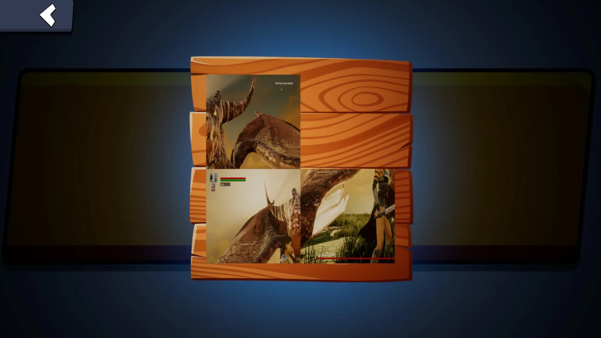 Saylor Assassin Puzzle görsel 2