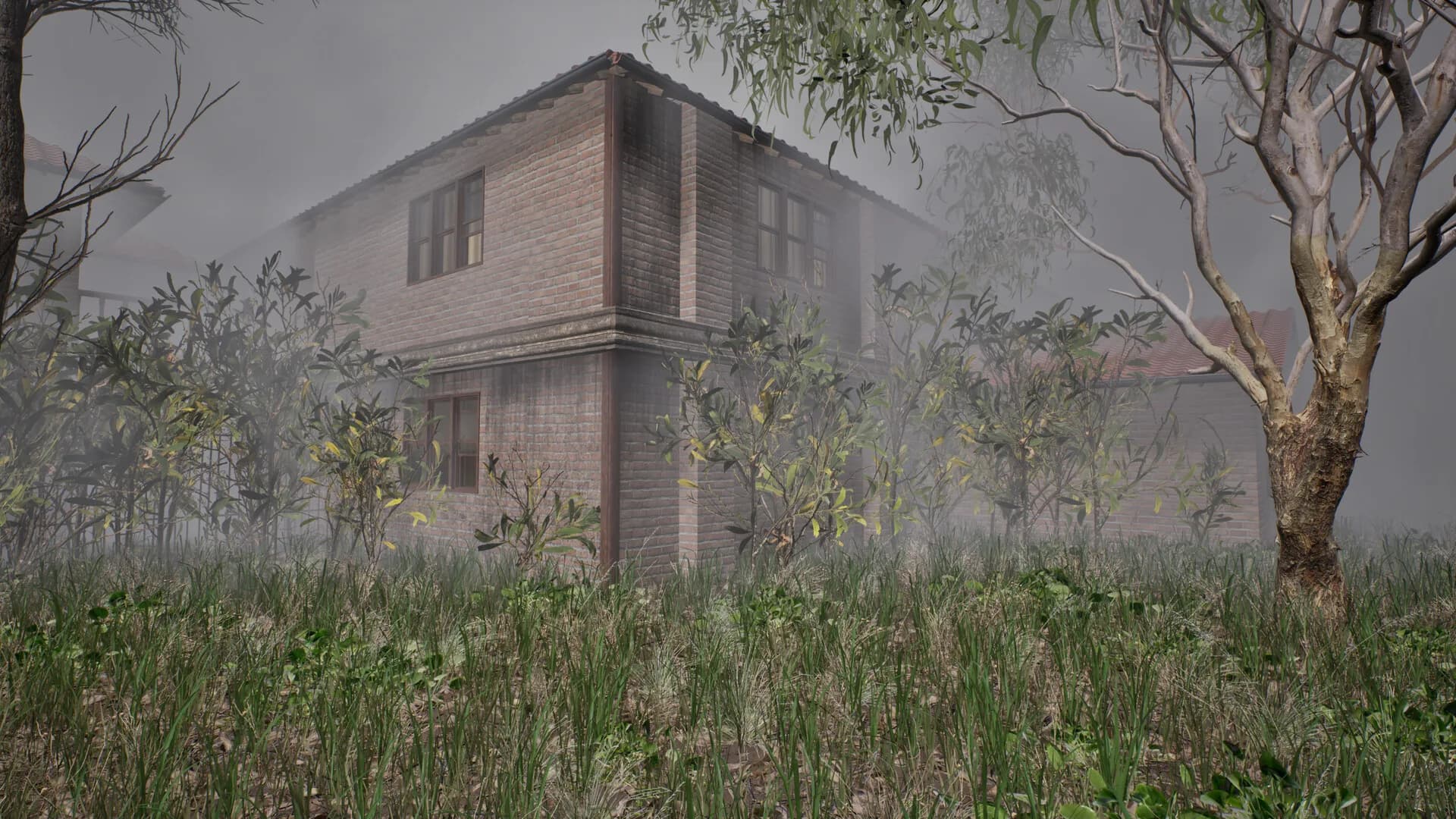 Still in the Fog görsel 21