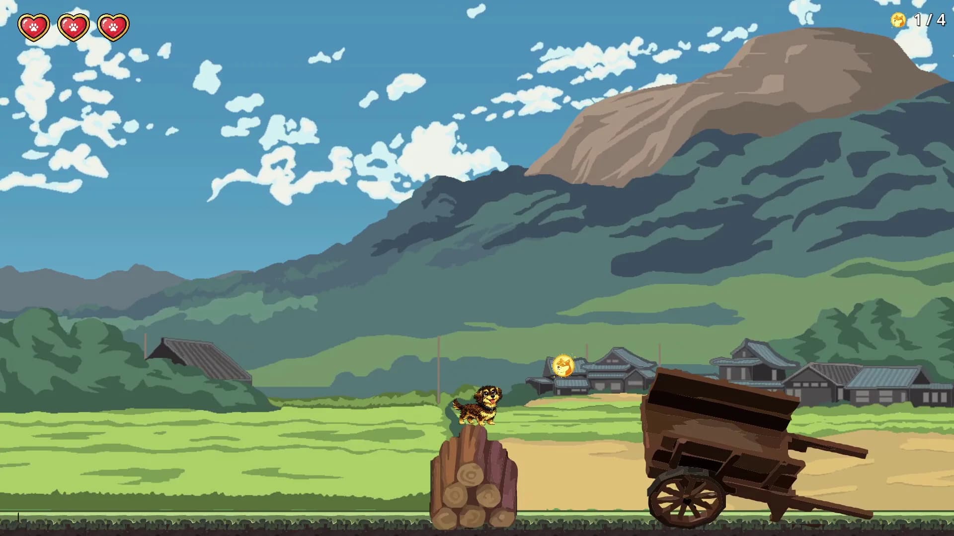Teckel Adventure görsel 2