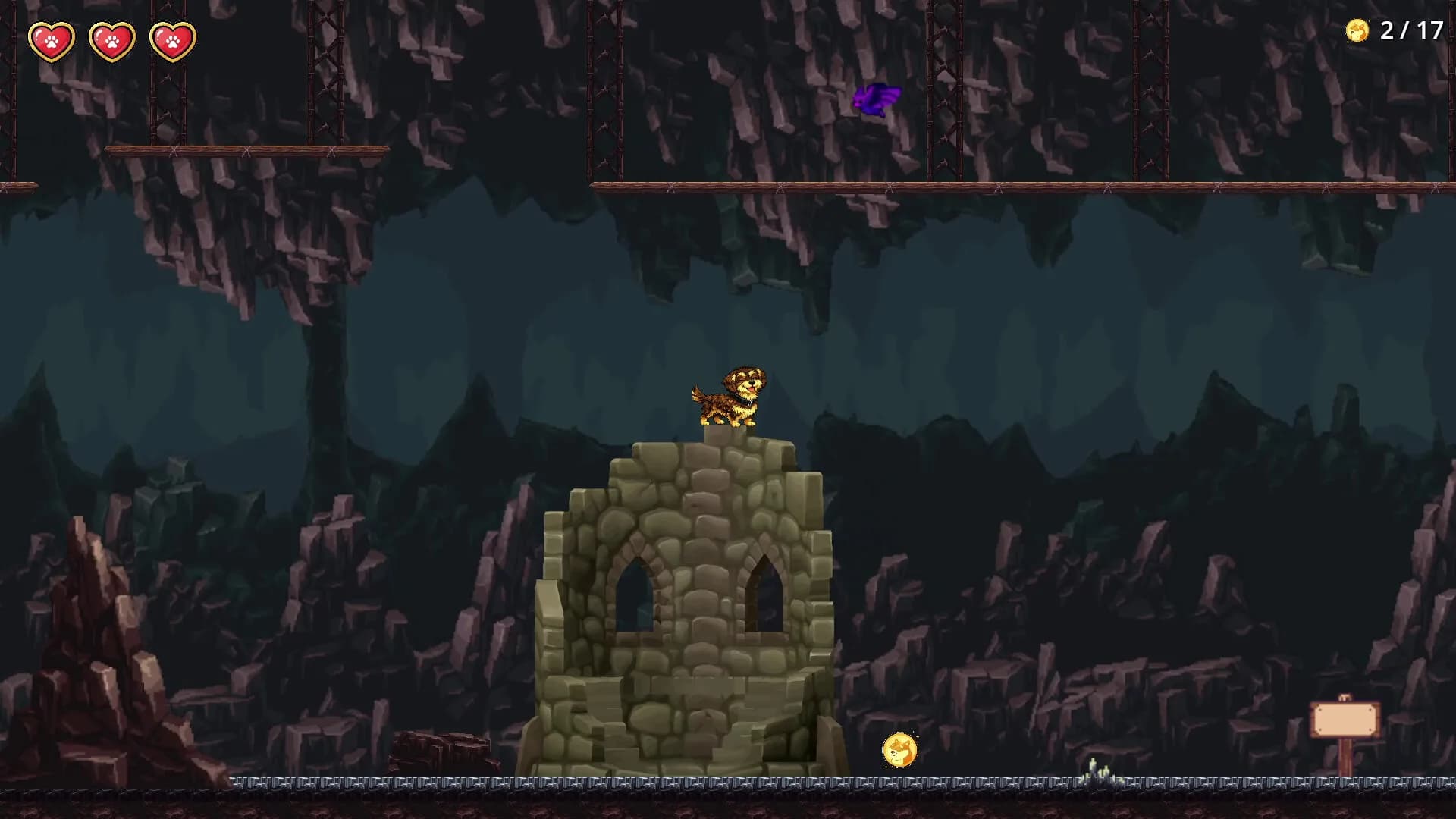 Teckel Adventure görsel 3