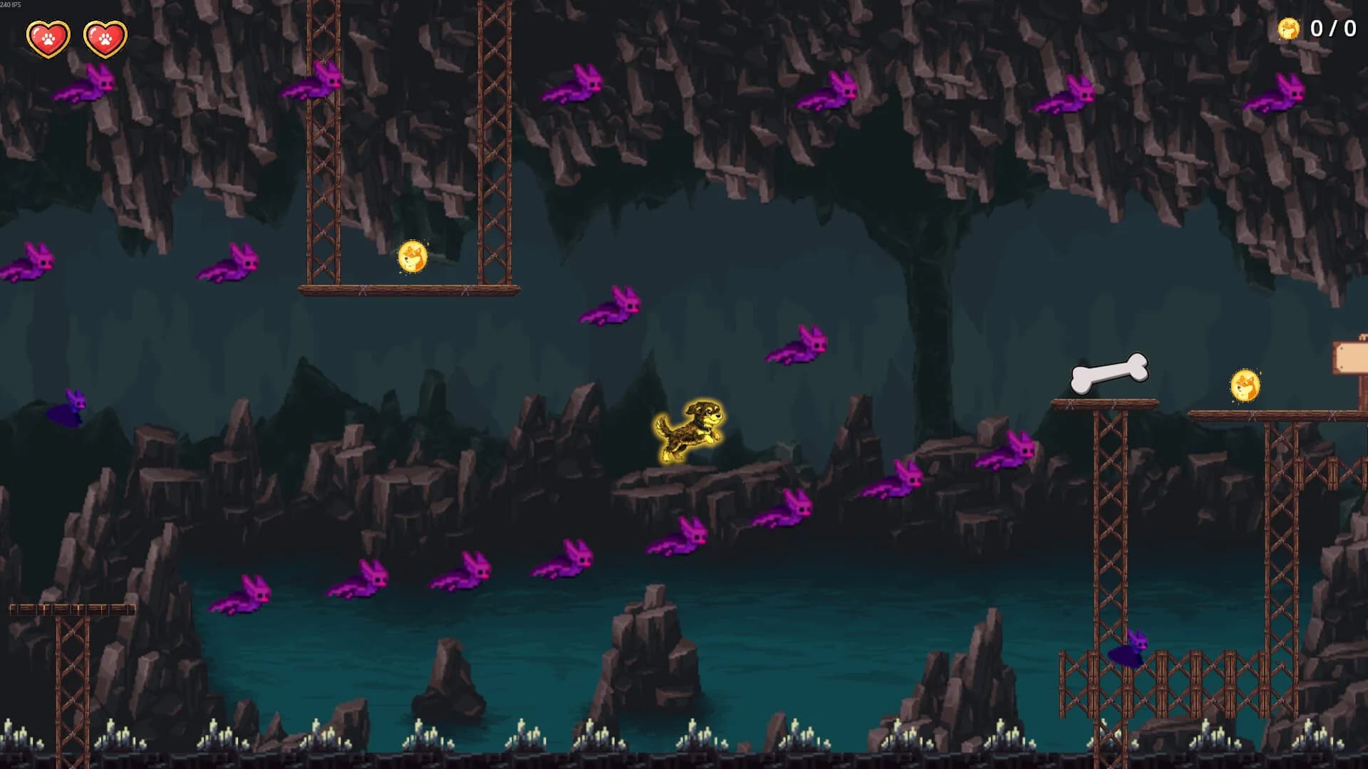 Teckel Adventure görsel 8