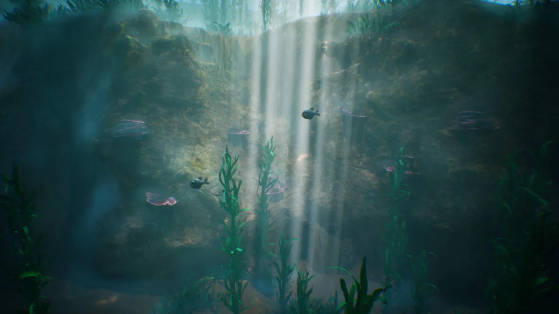 Tidepool görsel 2