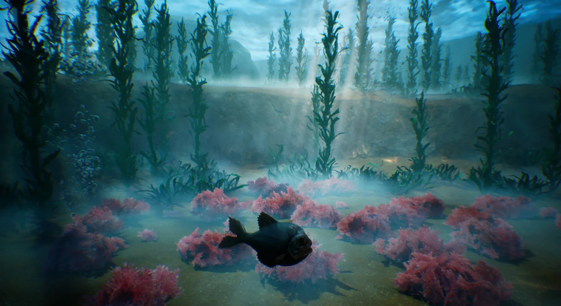 Tidepool görsel 3