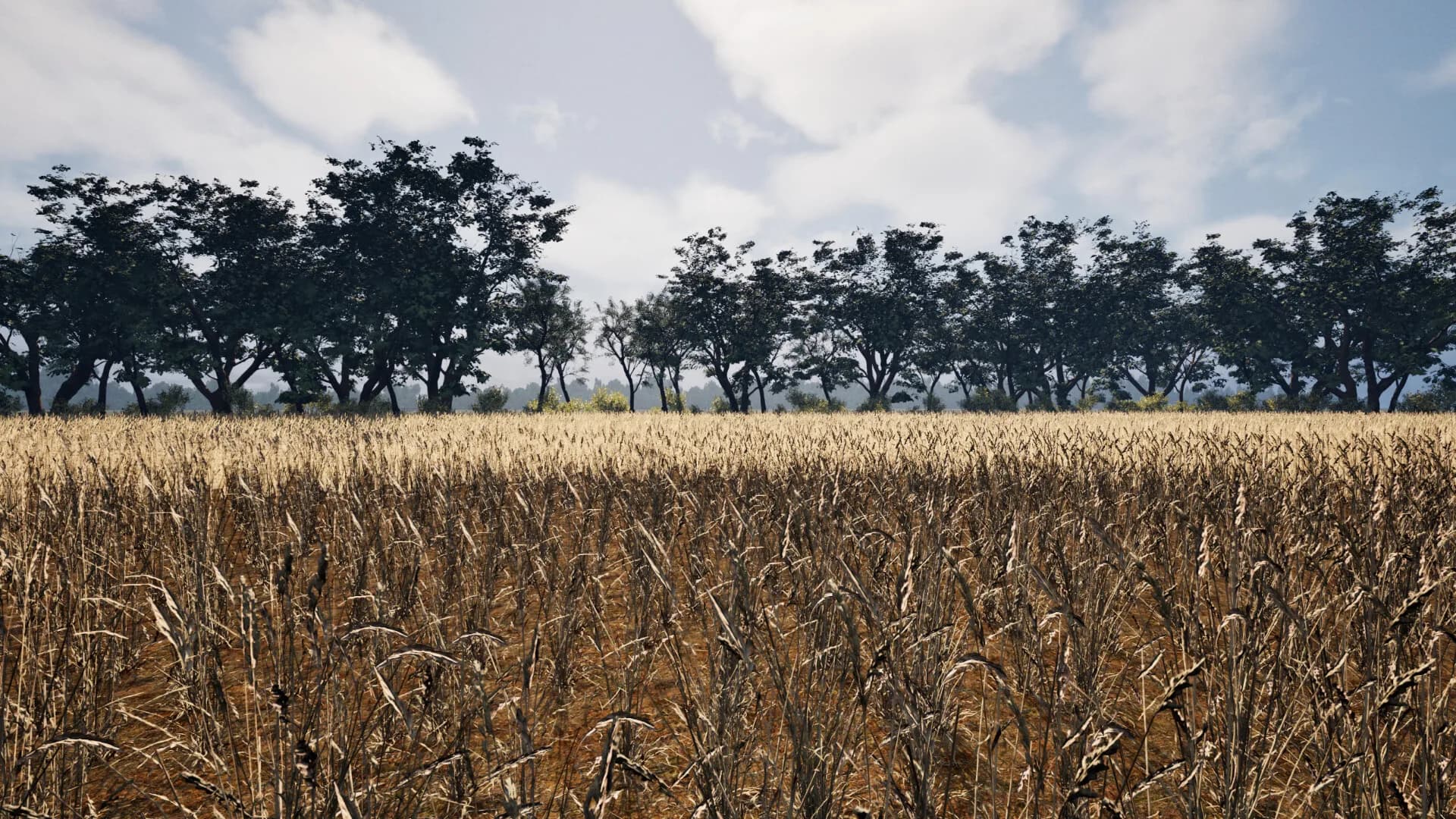Deep in the Fields görsel 9