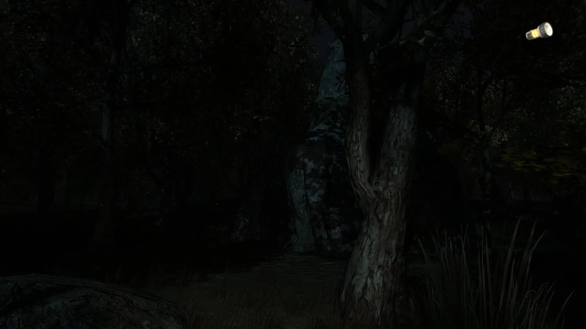 The Secret of Pineview Forest görsel 8