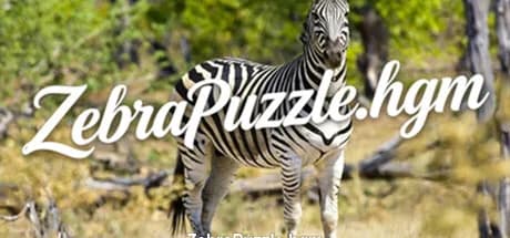 ZebraPuzzle.hgm görsel 1