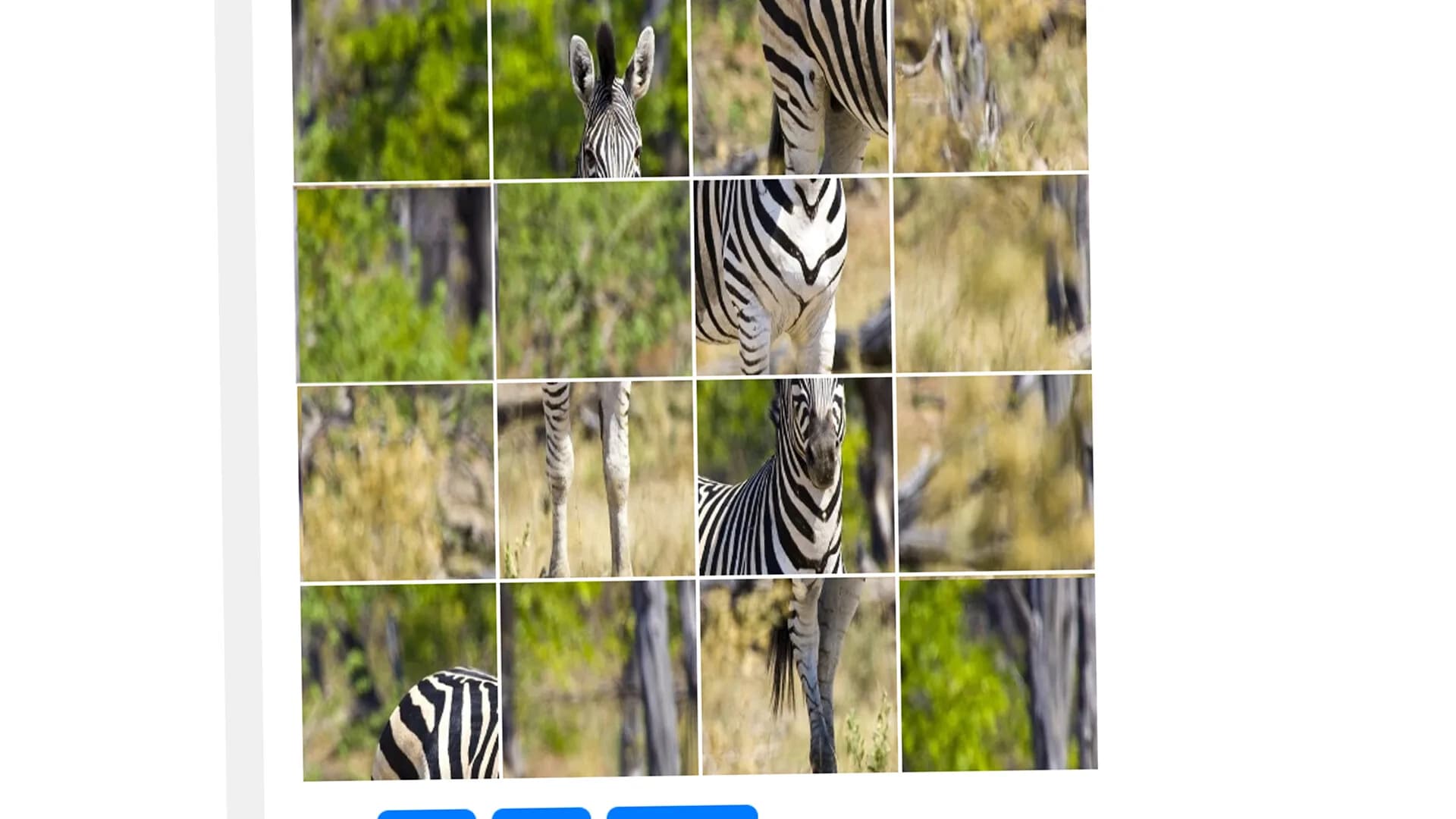 ZebraPuzzle.hgm görsel 4