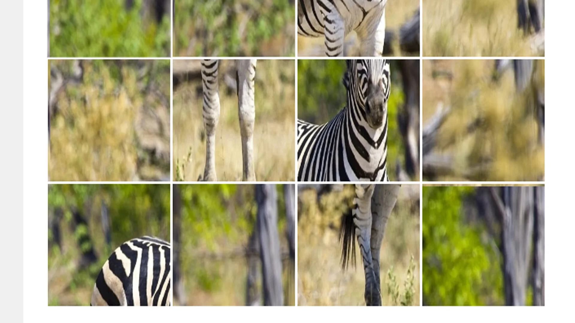 ZebraPuzzle.hgm görsel 5