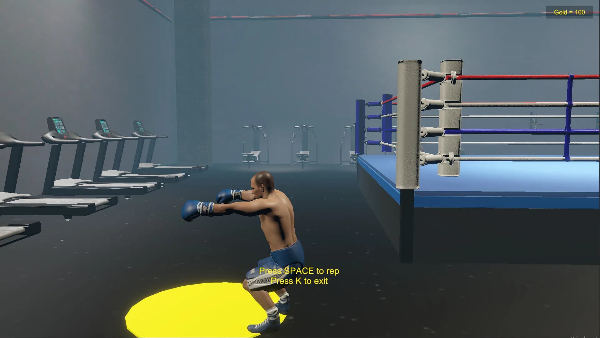 Boxing Life Simulator görsel 3