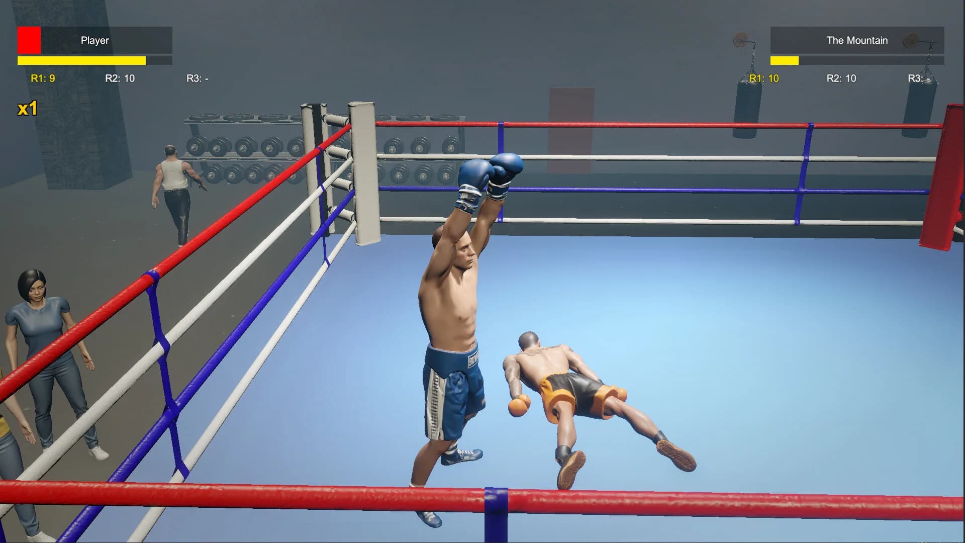Boxing Life Simulator görsel 4