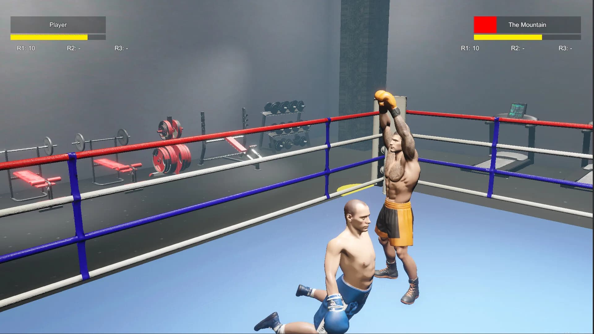 Boxing Life Simulator görsel 6