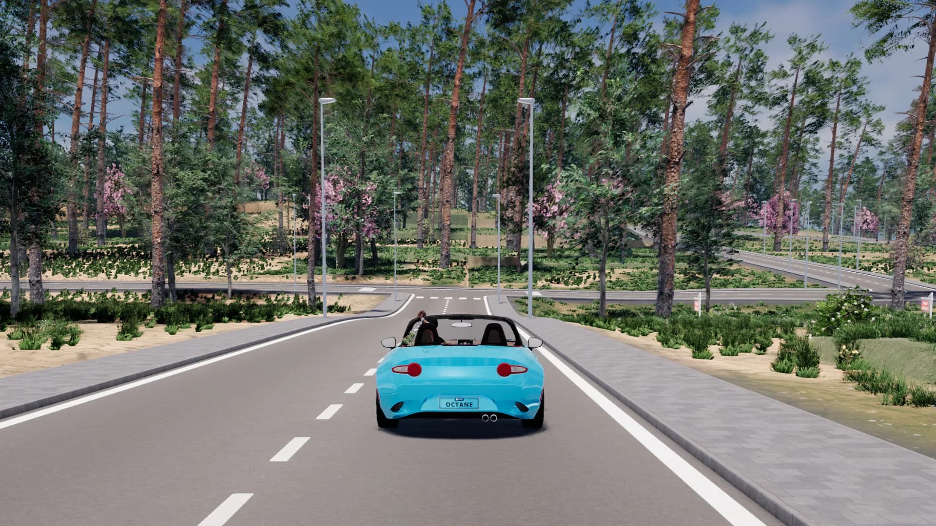 TCG World görsel 8