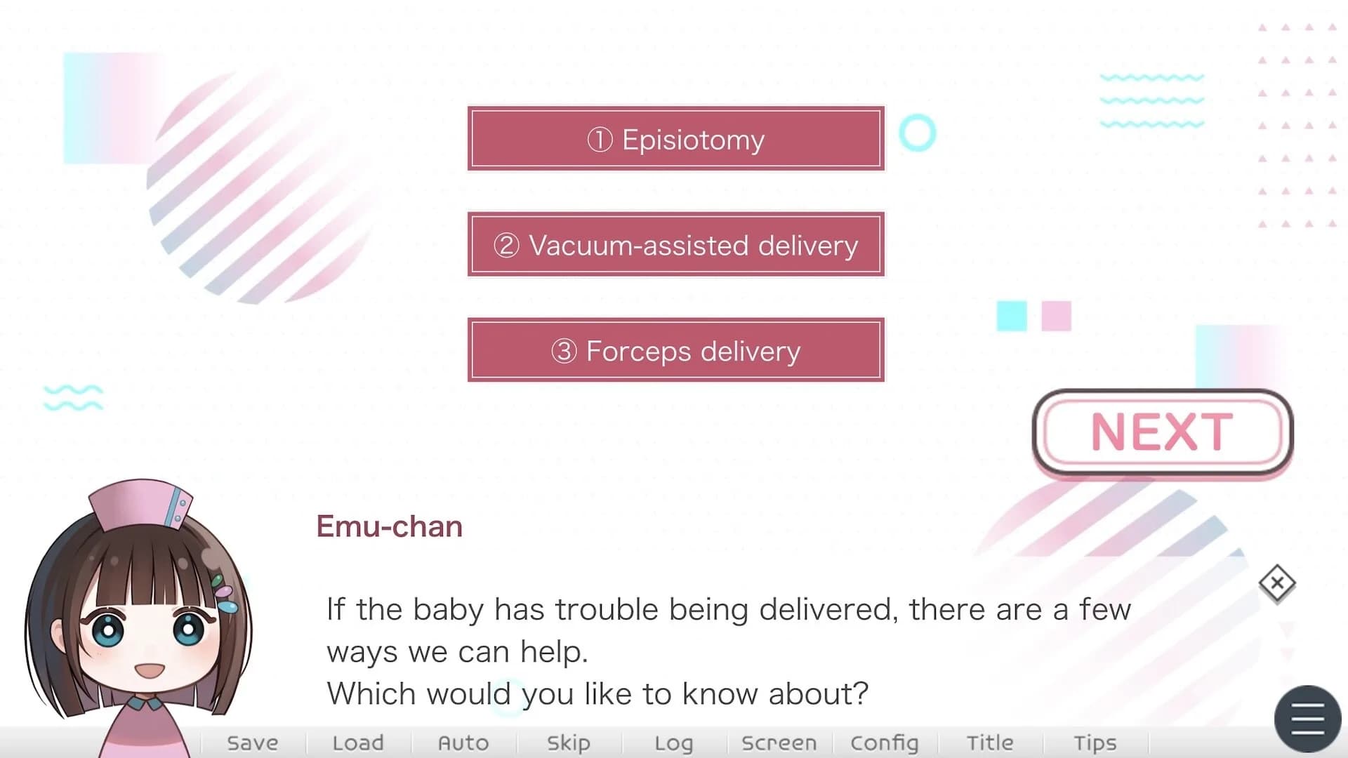 First Steps in Childbirth（はじめての出産） görsel 4