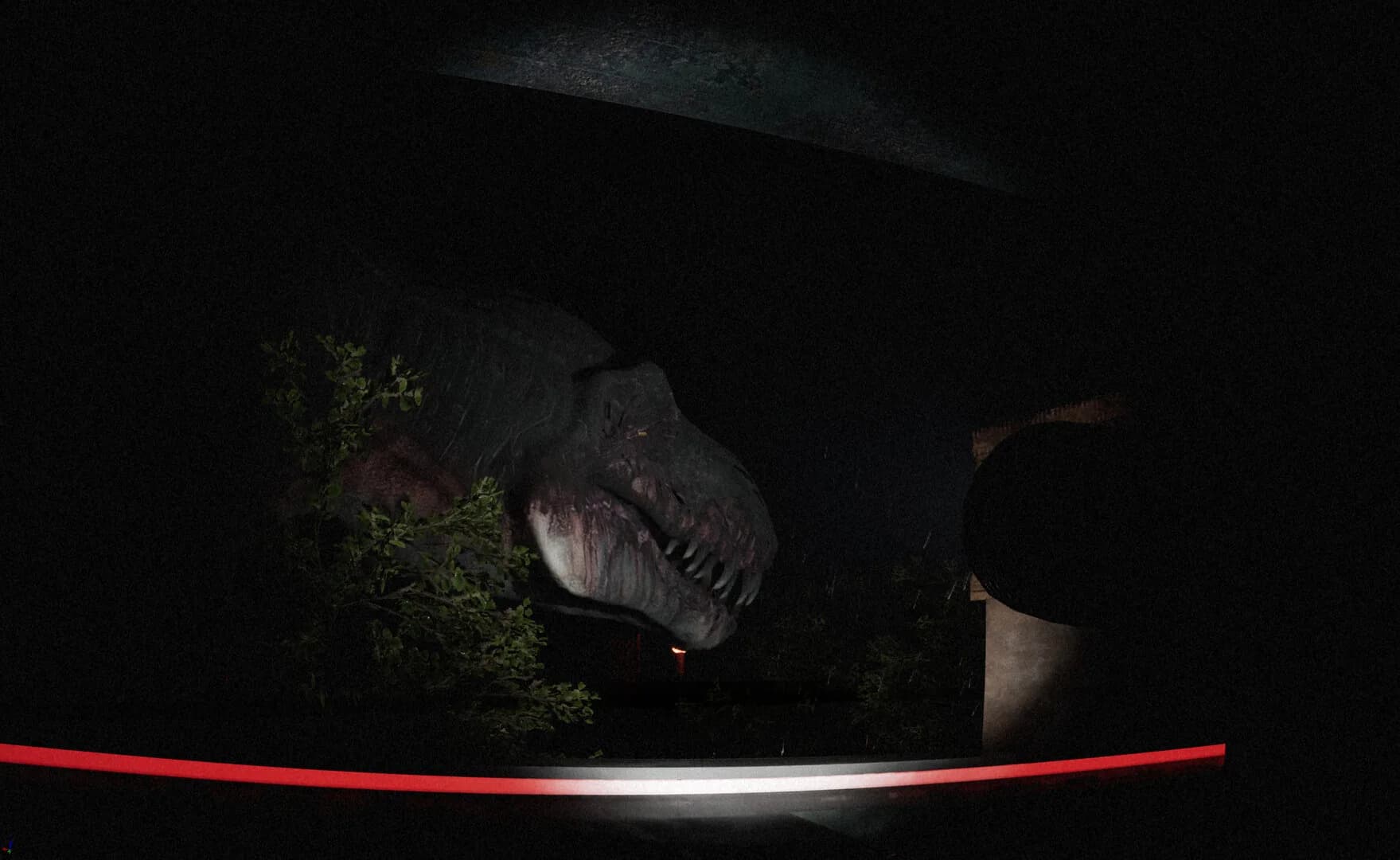 D-Extinction görsel 3