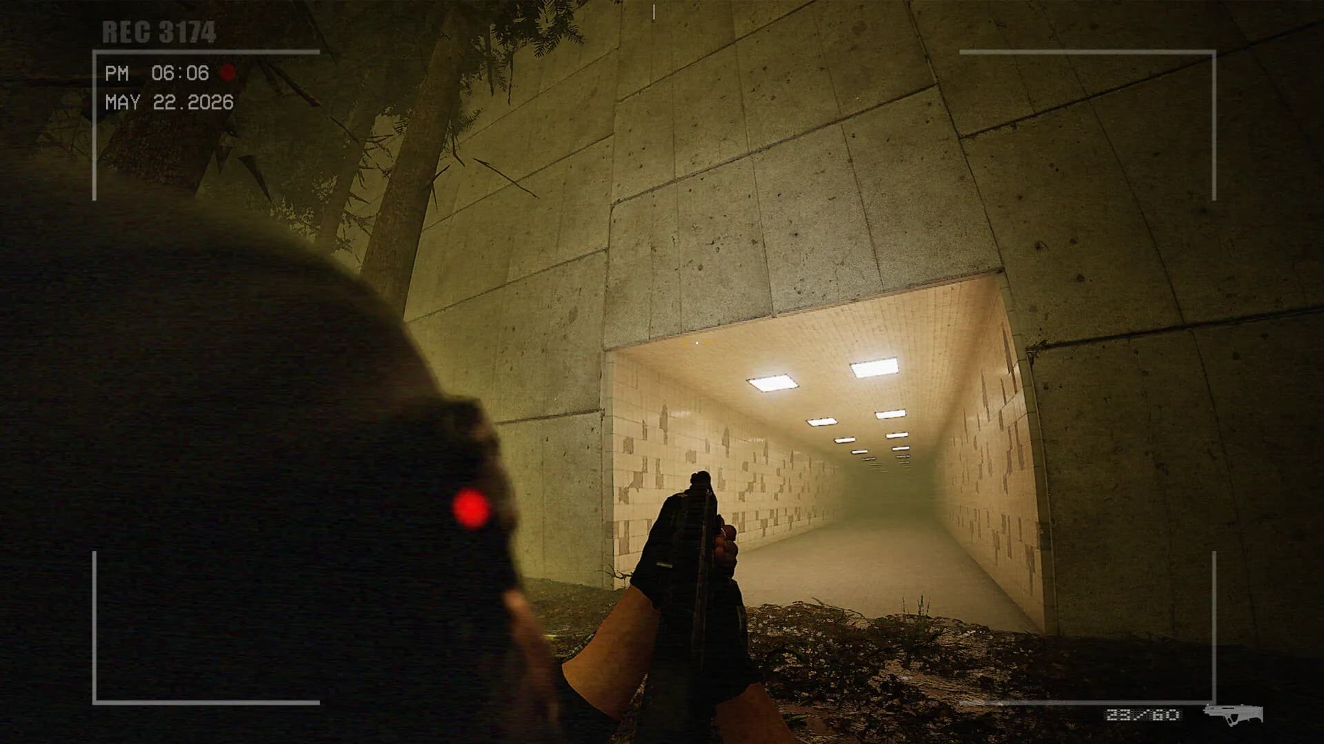 Blackwall [LIVE] görsel 2