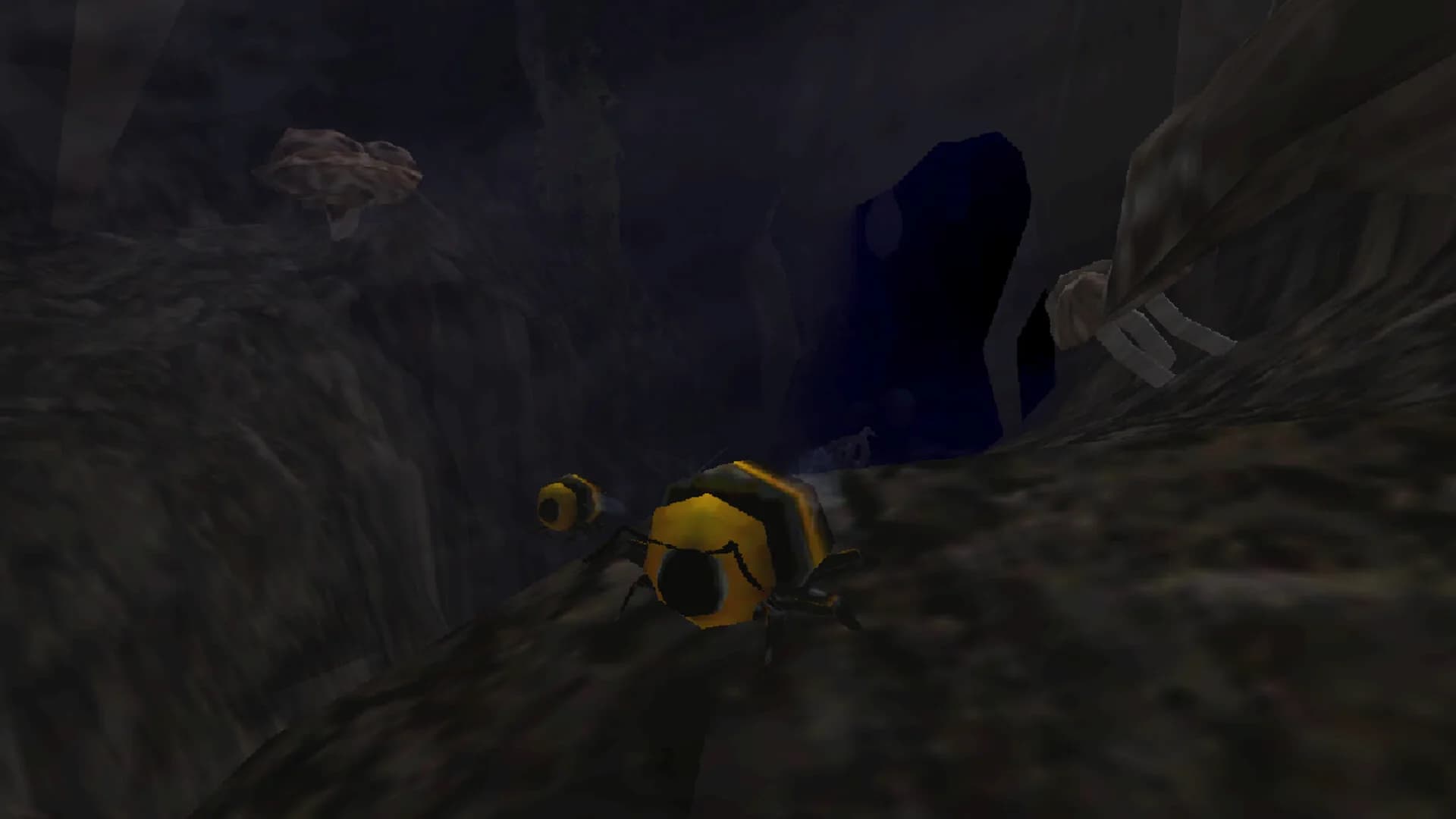 Tumblebee görsel 7