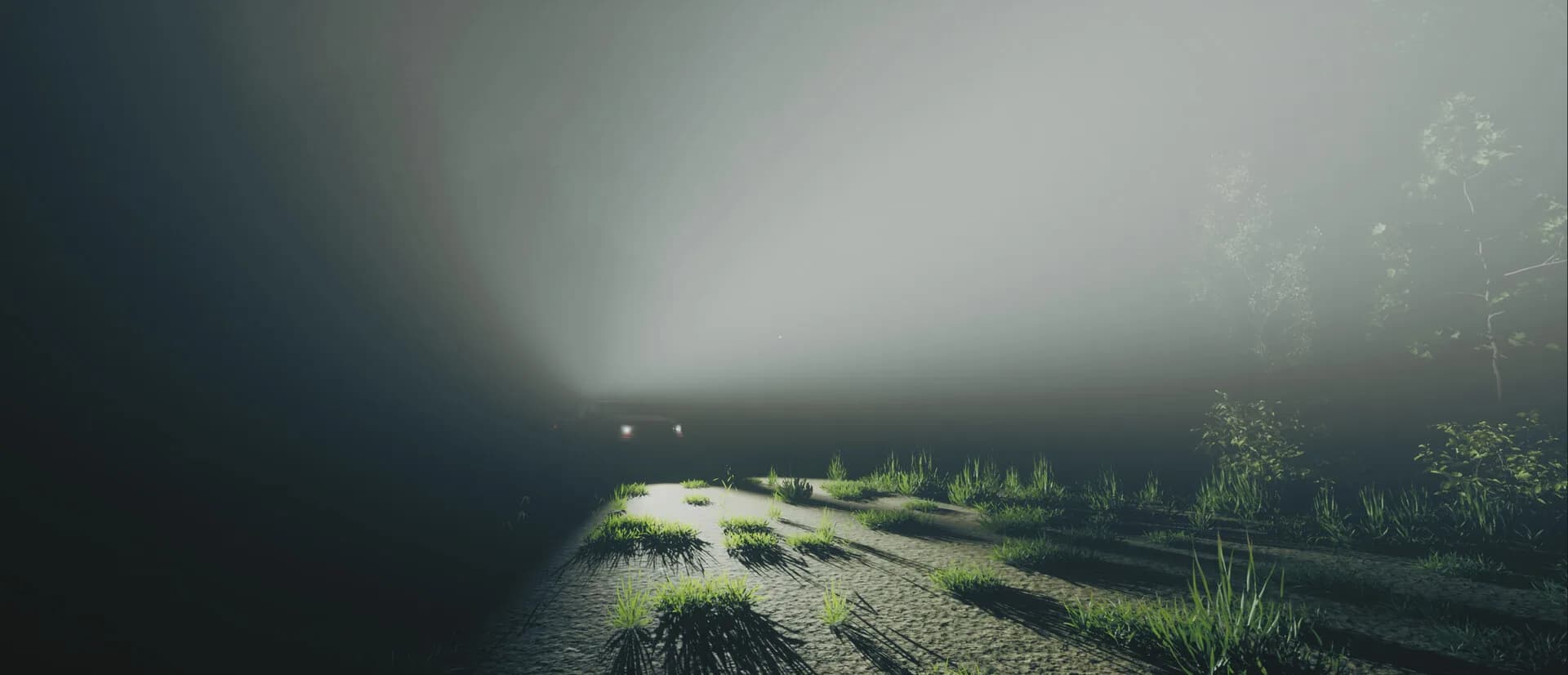 Within görsel 6