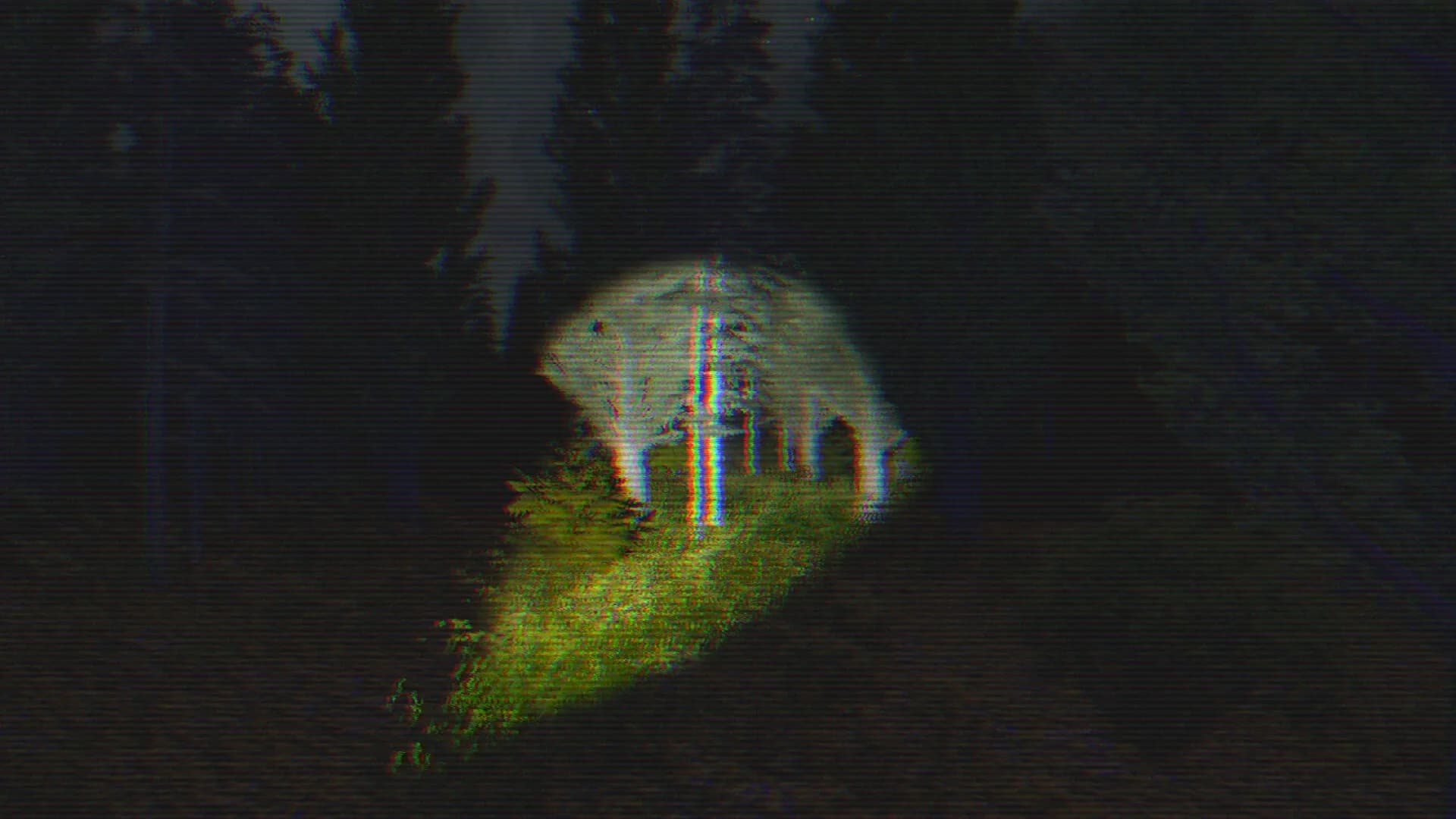 The Cluster görsel 7