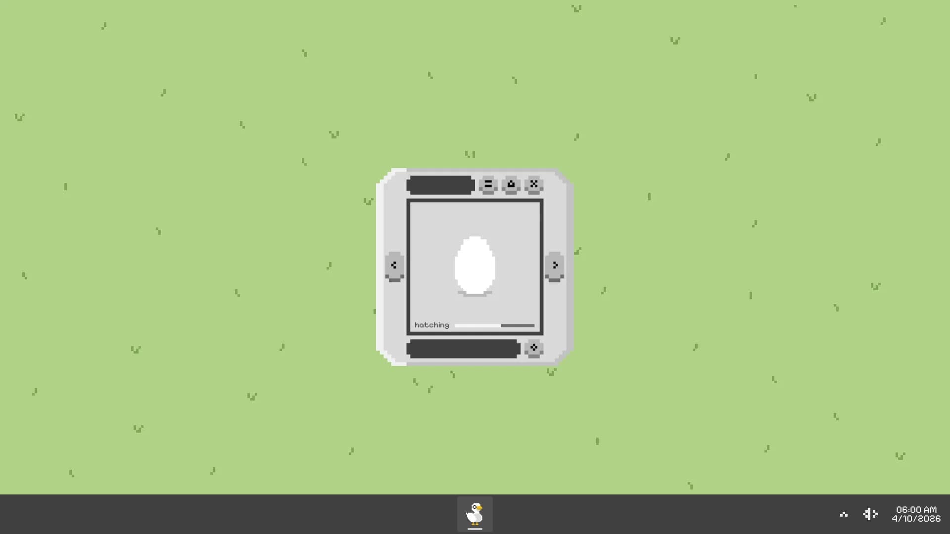 Quacky görsel 2