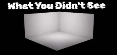 What You Didn't See